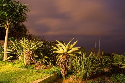 Фото Misty Blue Bed and Breakfast