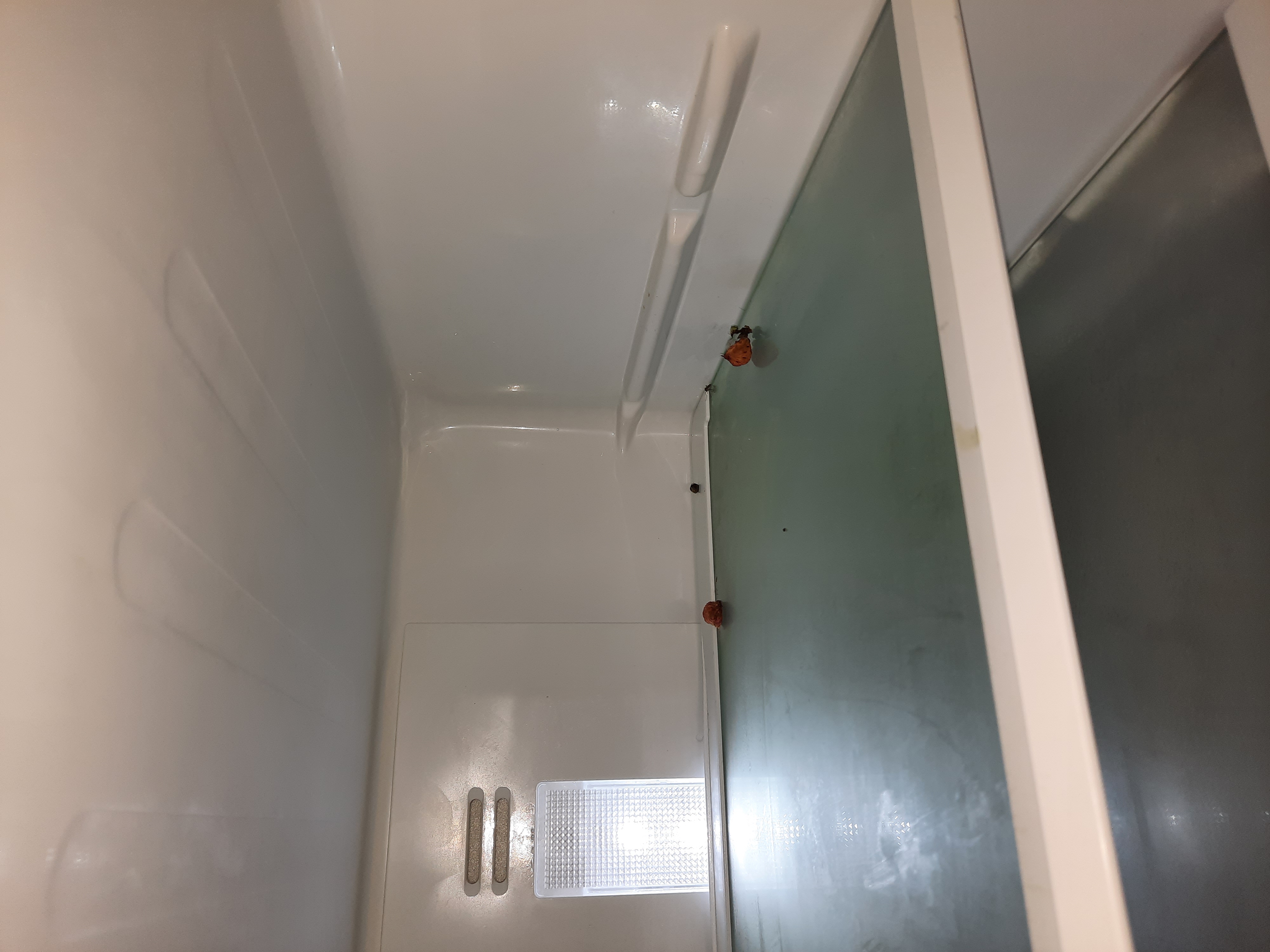 Фото Вероника