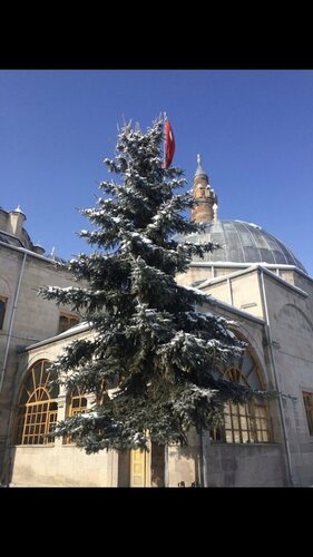 Гостиница Mavi Ladin Konukevi в Арпачае