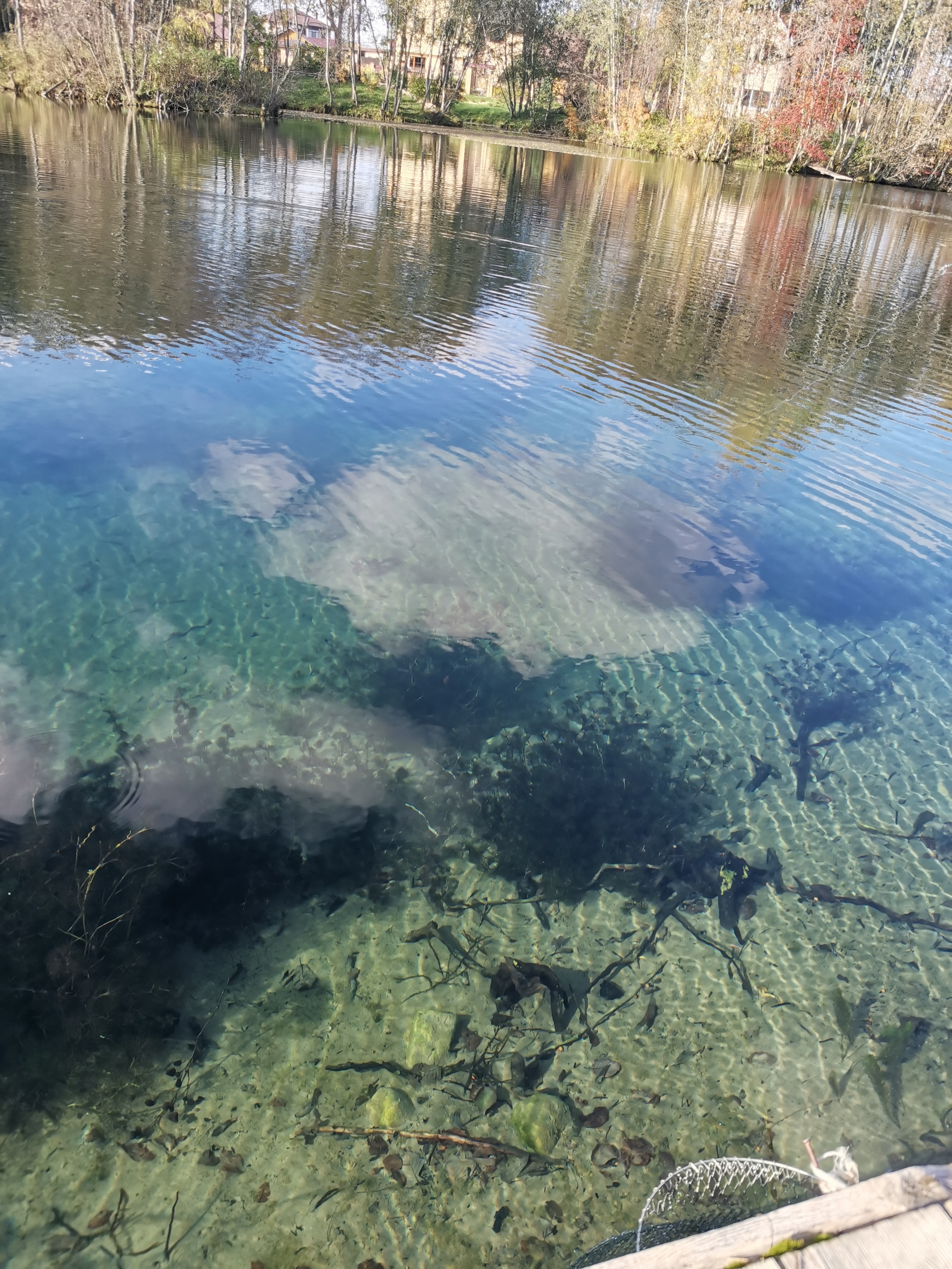 Фото Царская рыбалка