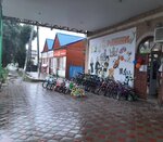 РыжикИ (posyolok gorodskogo tipa Ilskiy, Pervomayskaya ulitsa, 110А), children's store