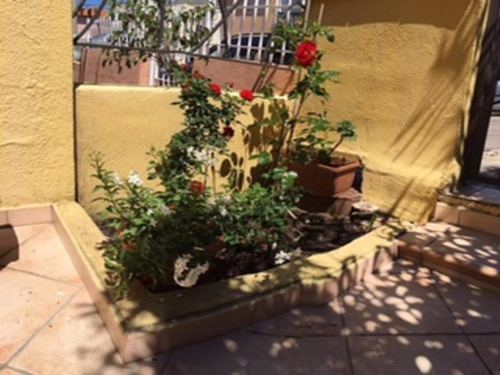 Фото Bed and Breakfast Nuvole