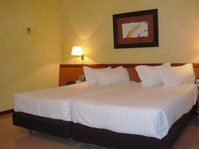 Фото Hotel Playafels