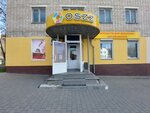 Oszz (Октябрьская ул., 79, корп. 1), магазин автозапчастей и автотоваров в Туле