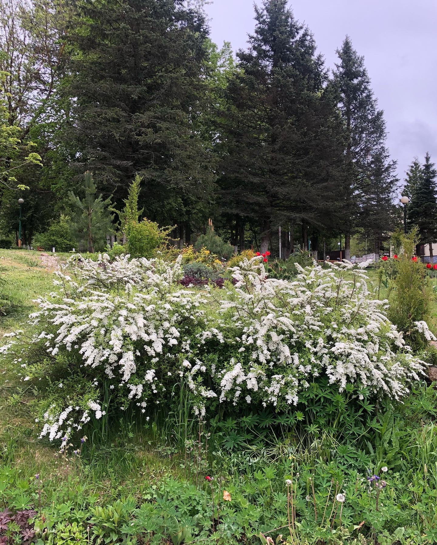 Фото Пансионат Солнечный комплекс Западный