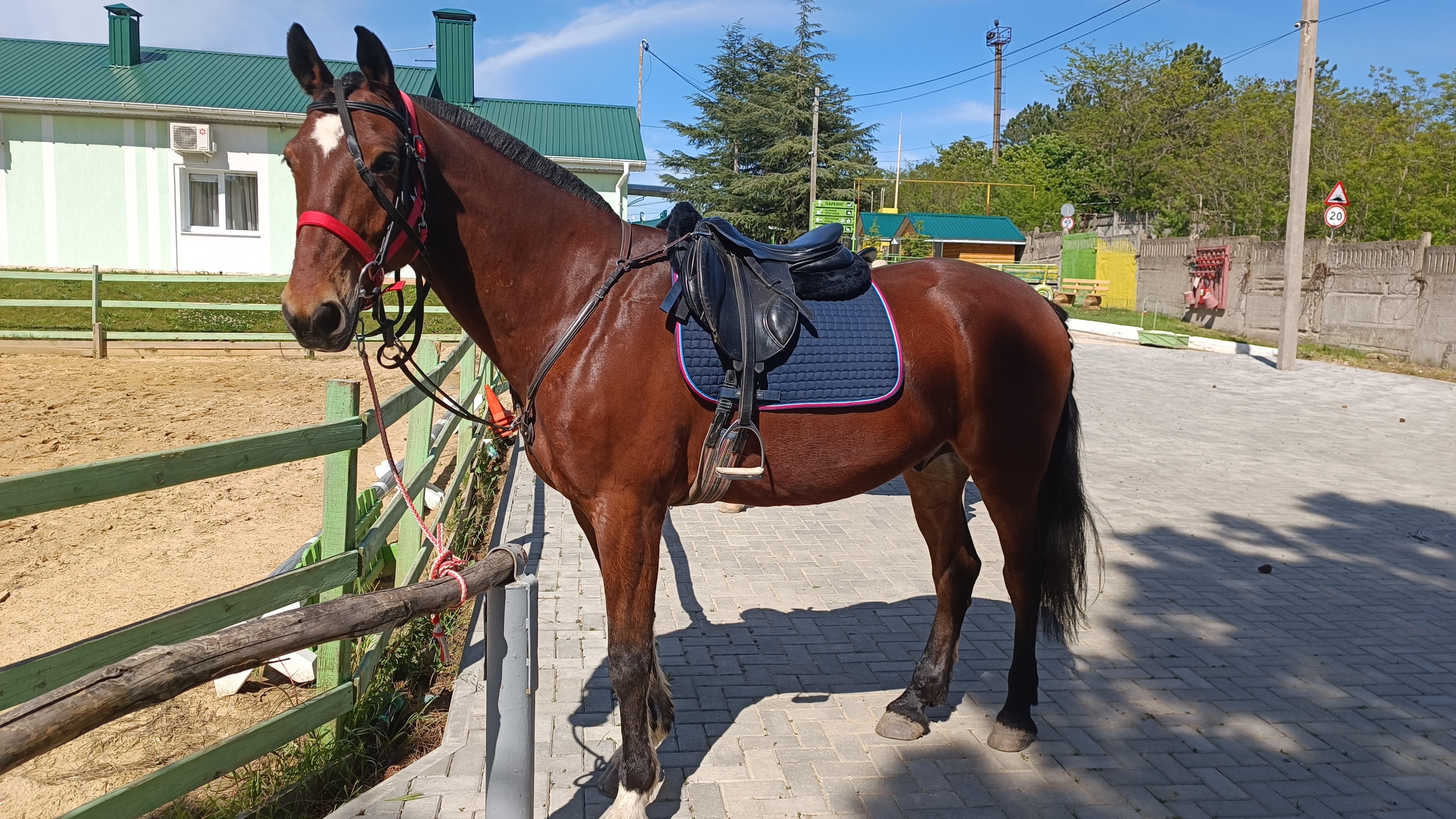 Фото ЭкоРест