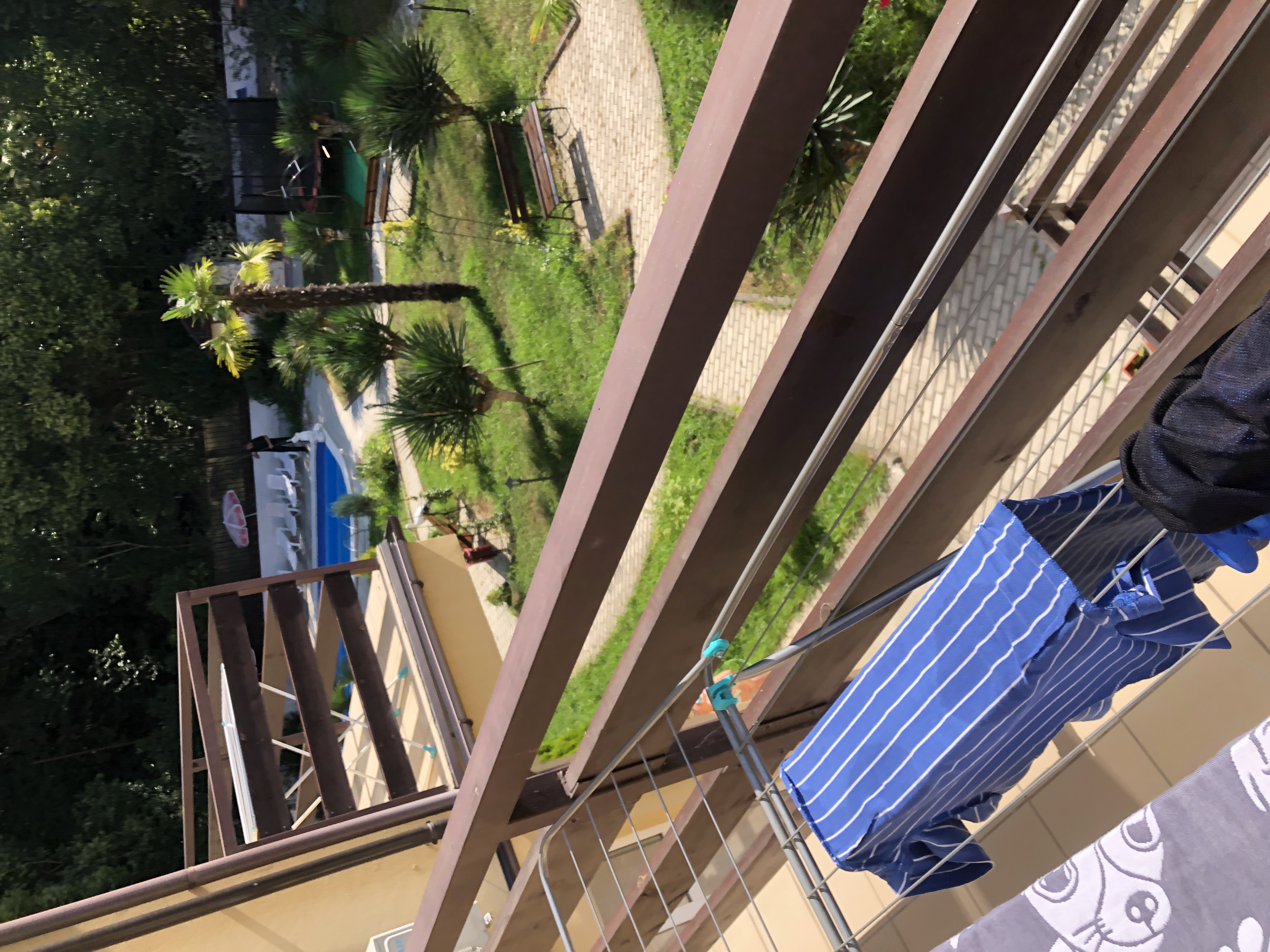 Фото Старая Хоста