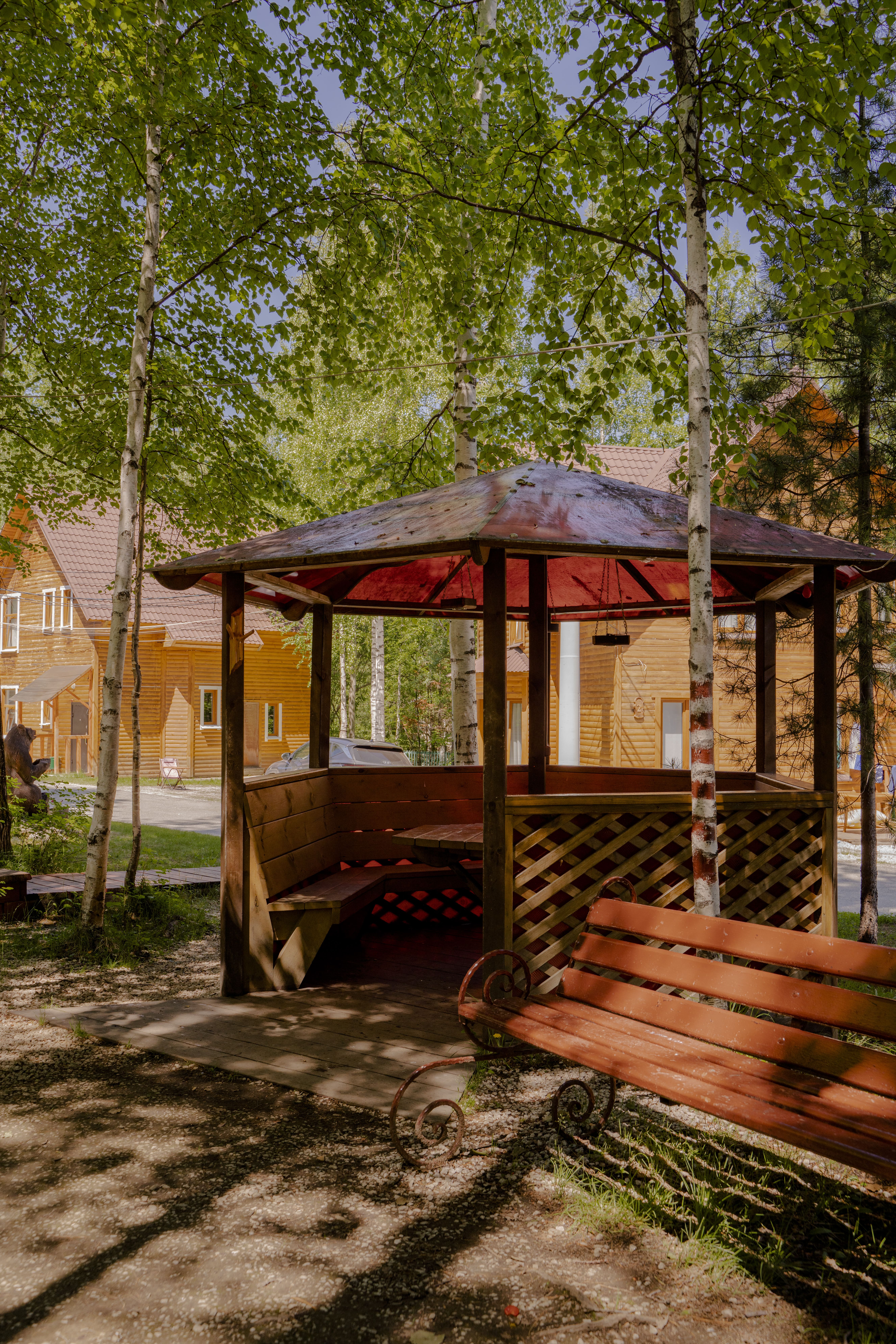 Фото Белый соболь