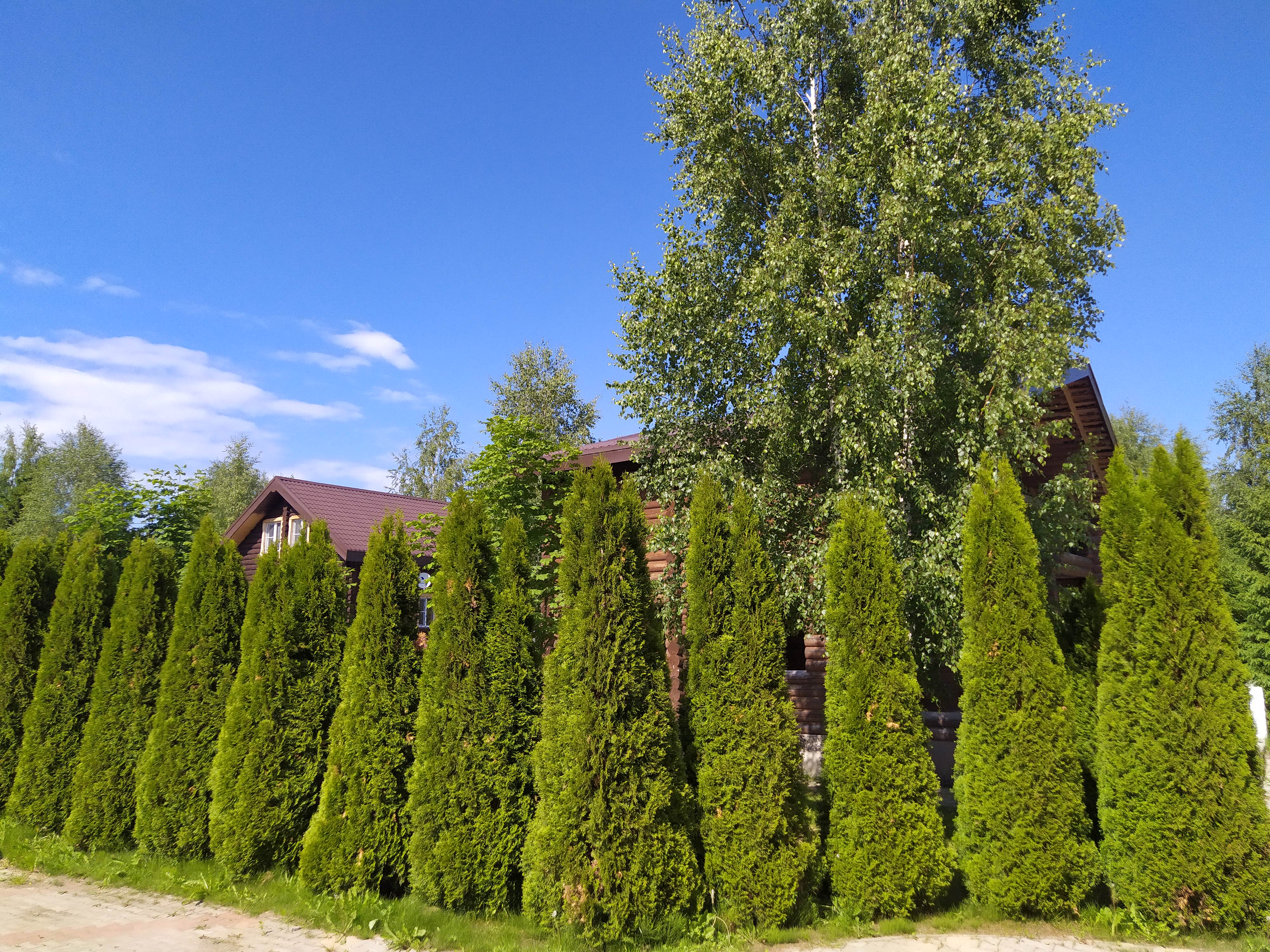 Фото Семейный дом