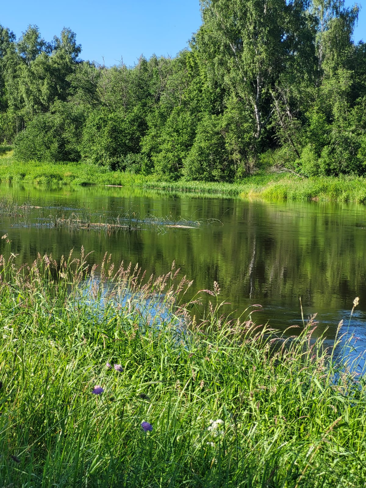 Фото Усть-Вазуза