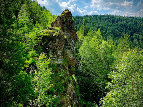 Redvishersk. The Colchim Stone. 2022 Лес Урала (Природа России) VK