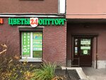 Цветы оптторг (Doblesti Street, 26к1), flower shop