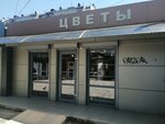 Цветы (ulitsa Trudovoy Slavy, 11), floristeria