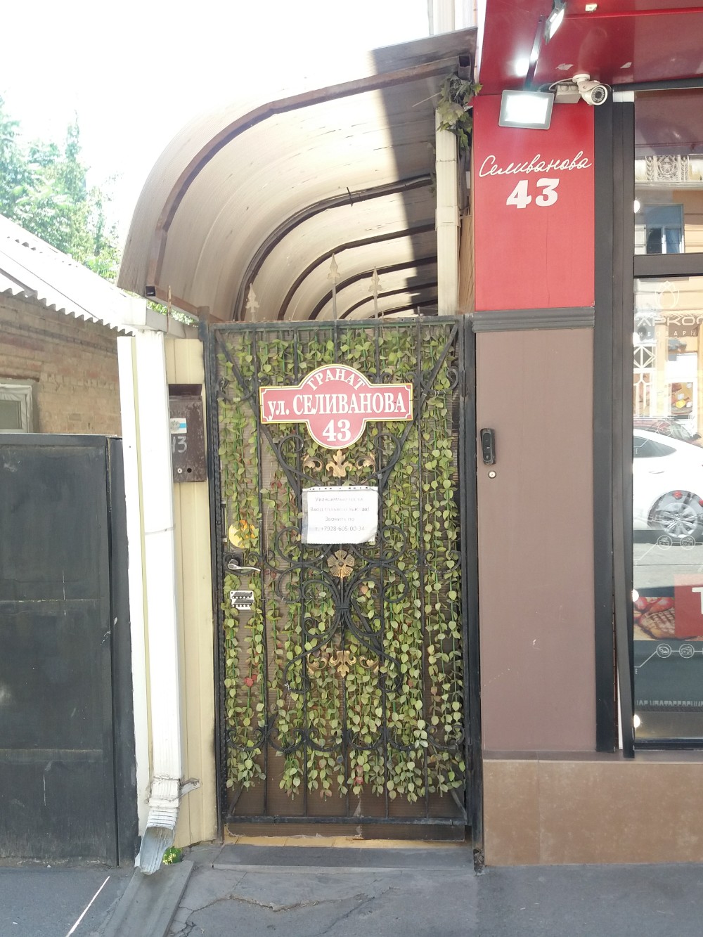 Фото Гранат