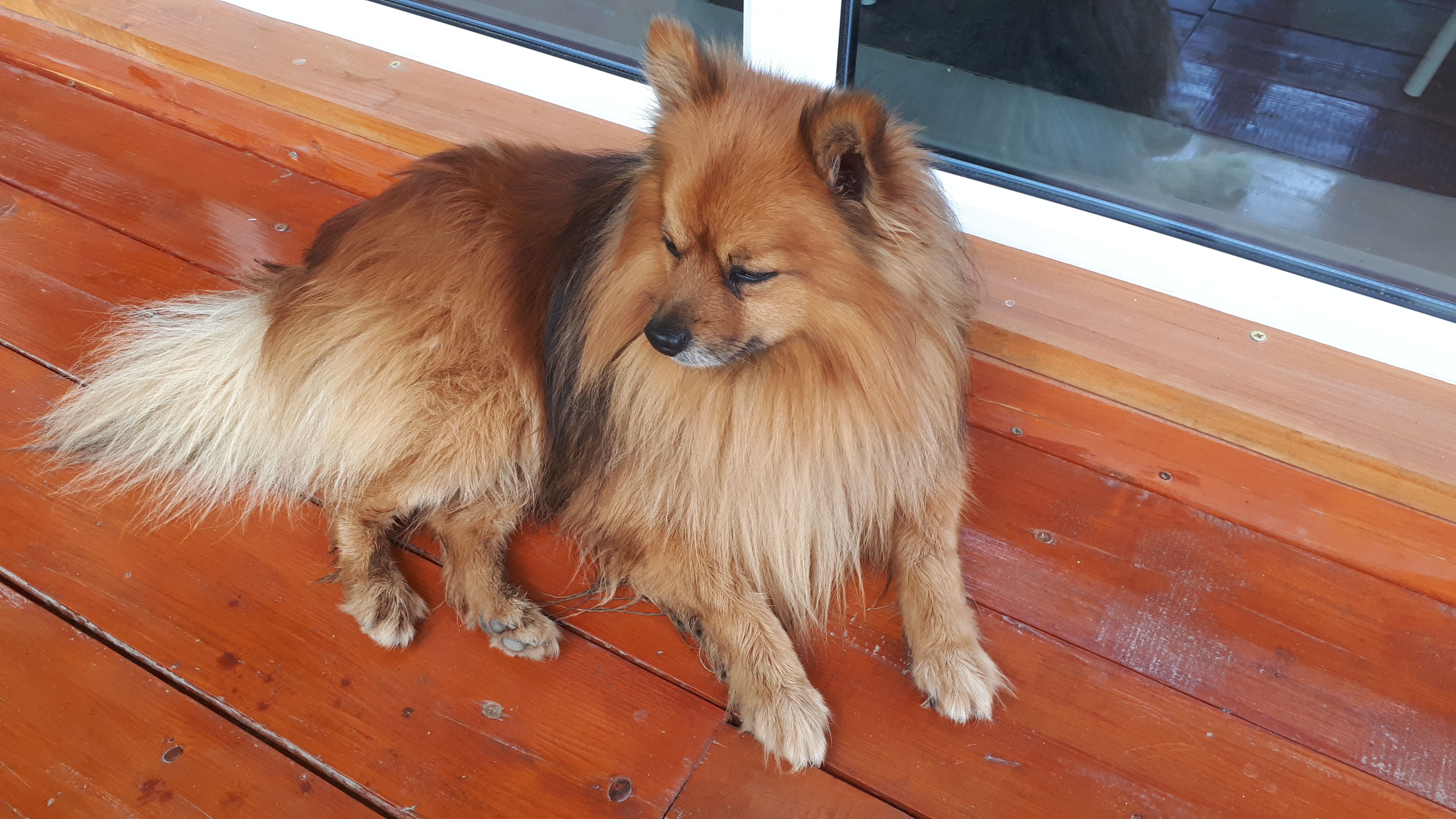 Фото Хижина