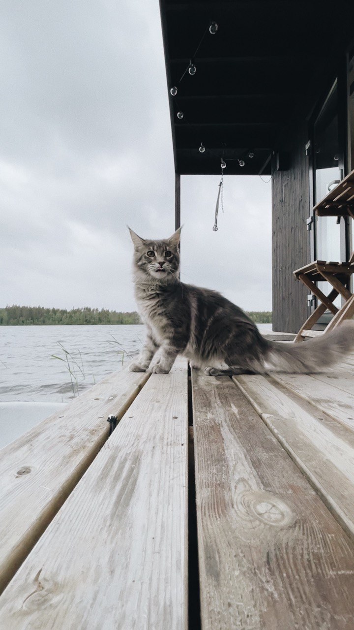 Фото Коттеджи Матриярви