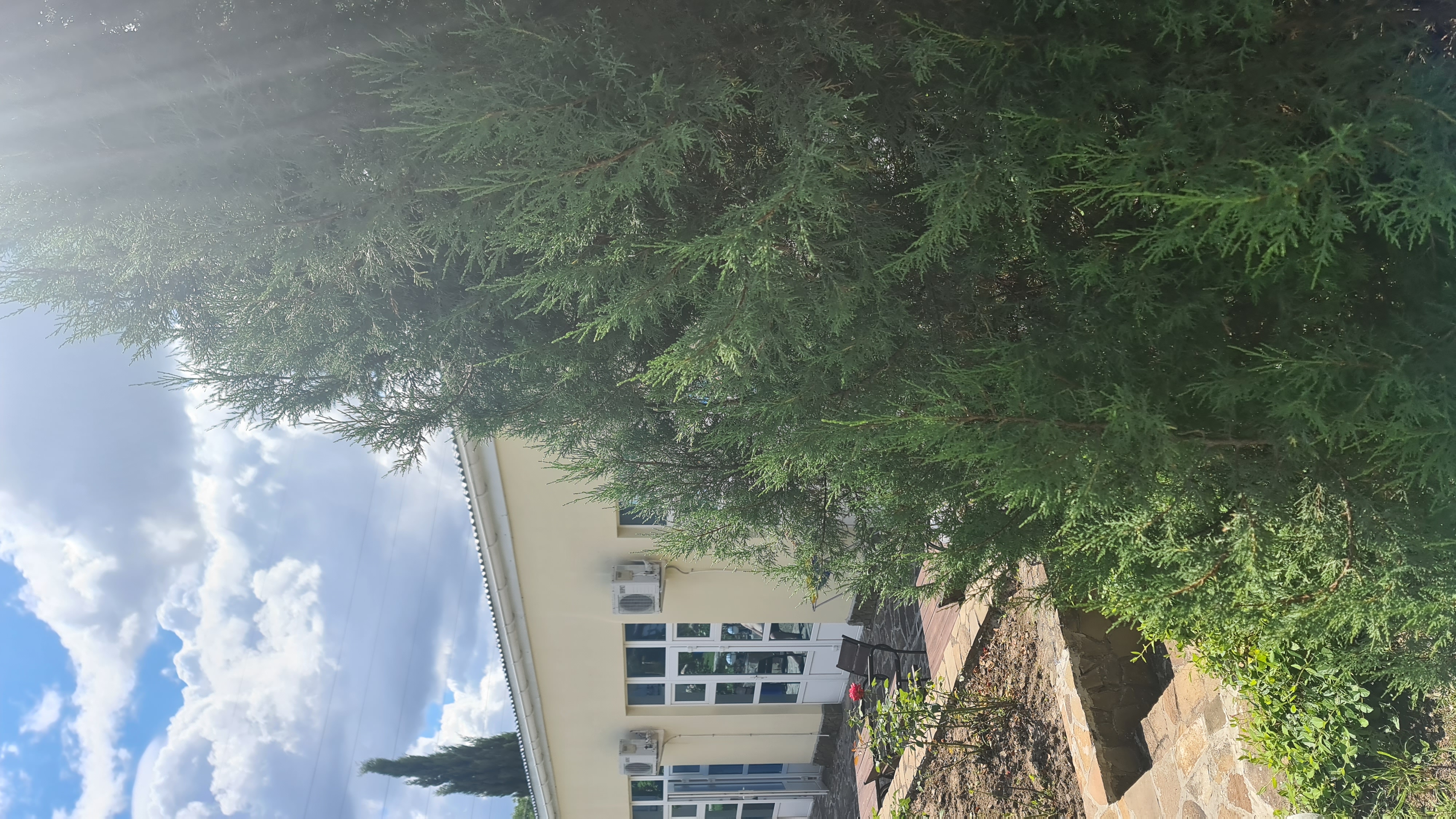 Фото Дионис