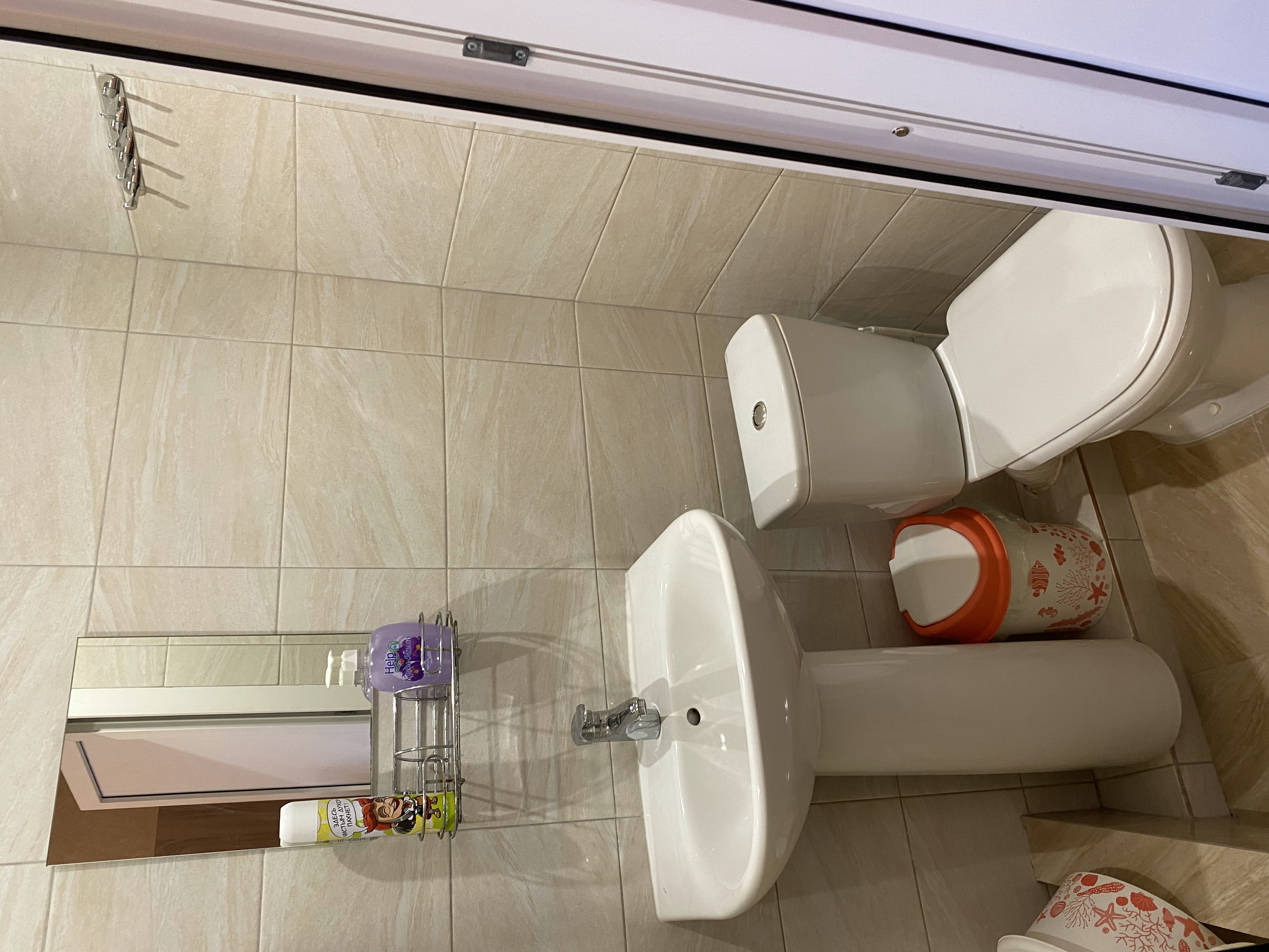 Фото Жасмин