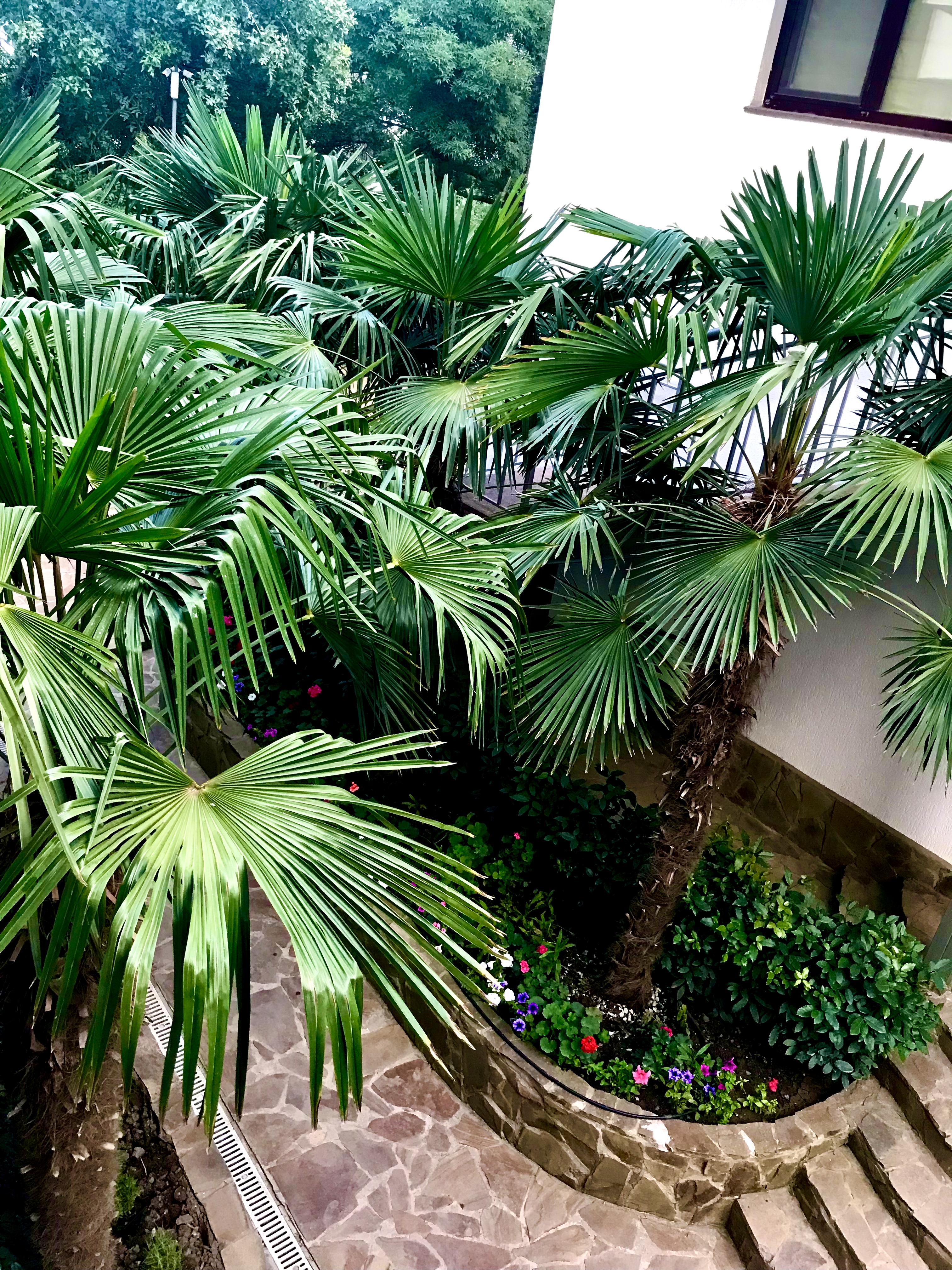 Фото Таврида