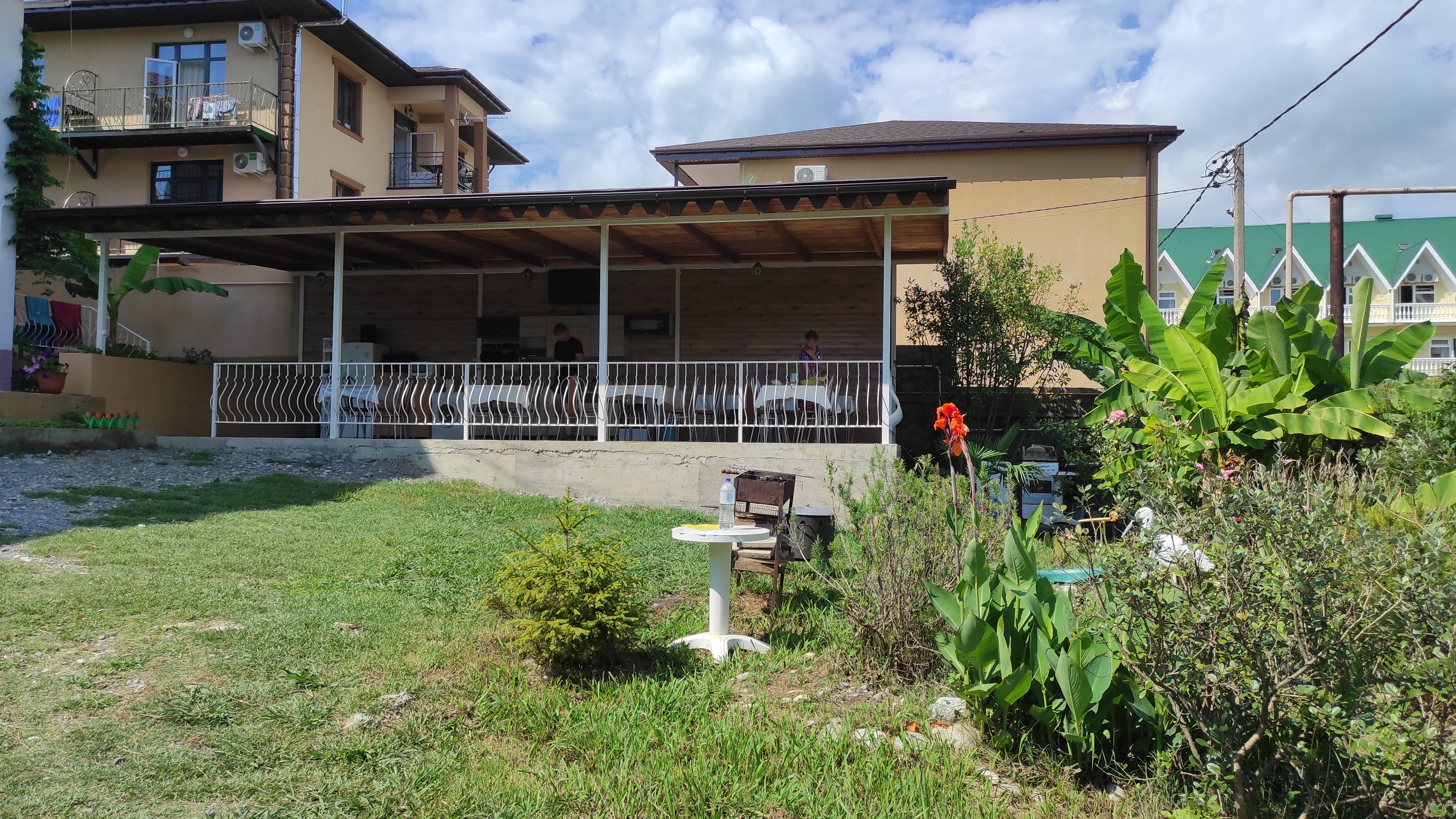 Фото Резеда