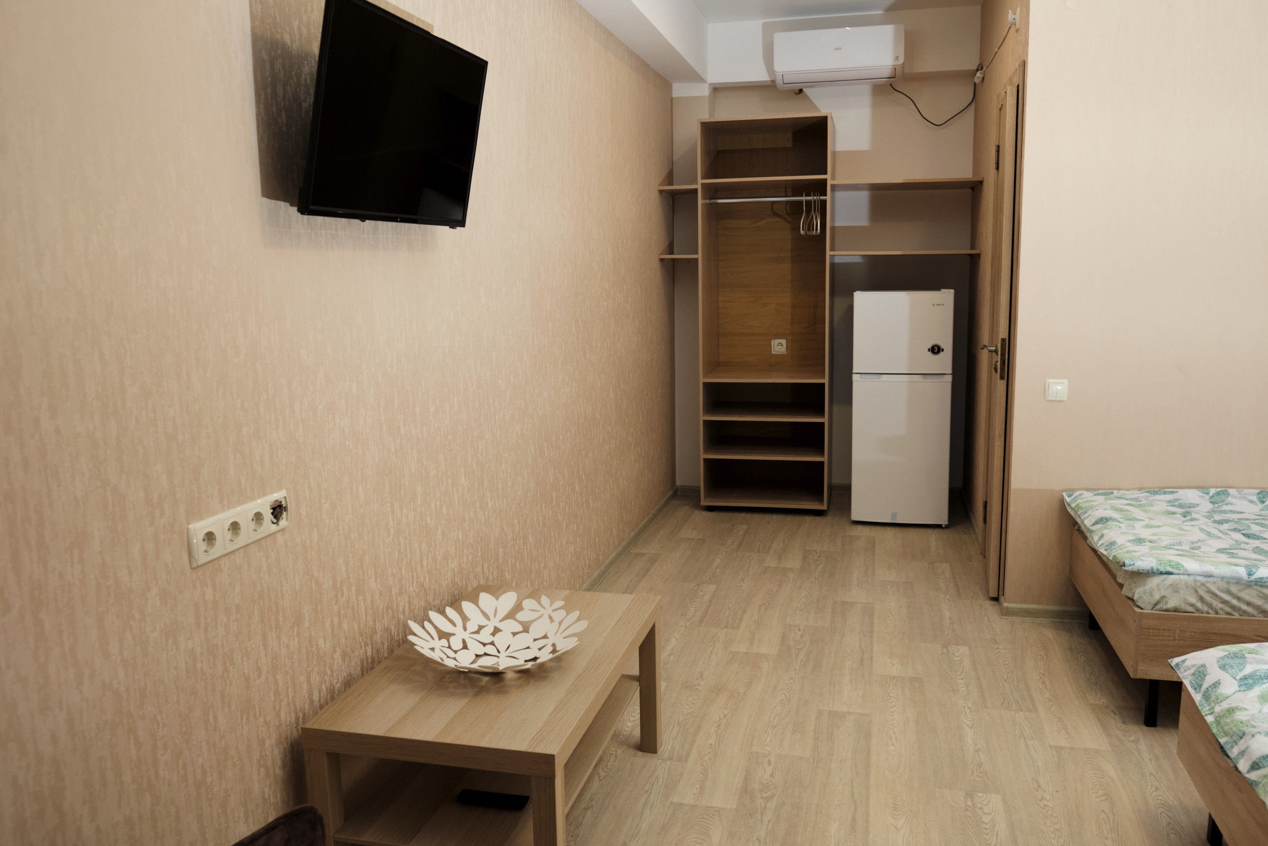 Фото Бамбук