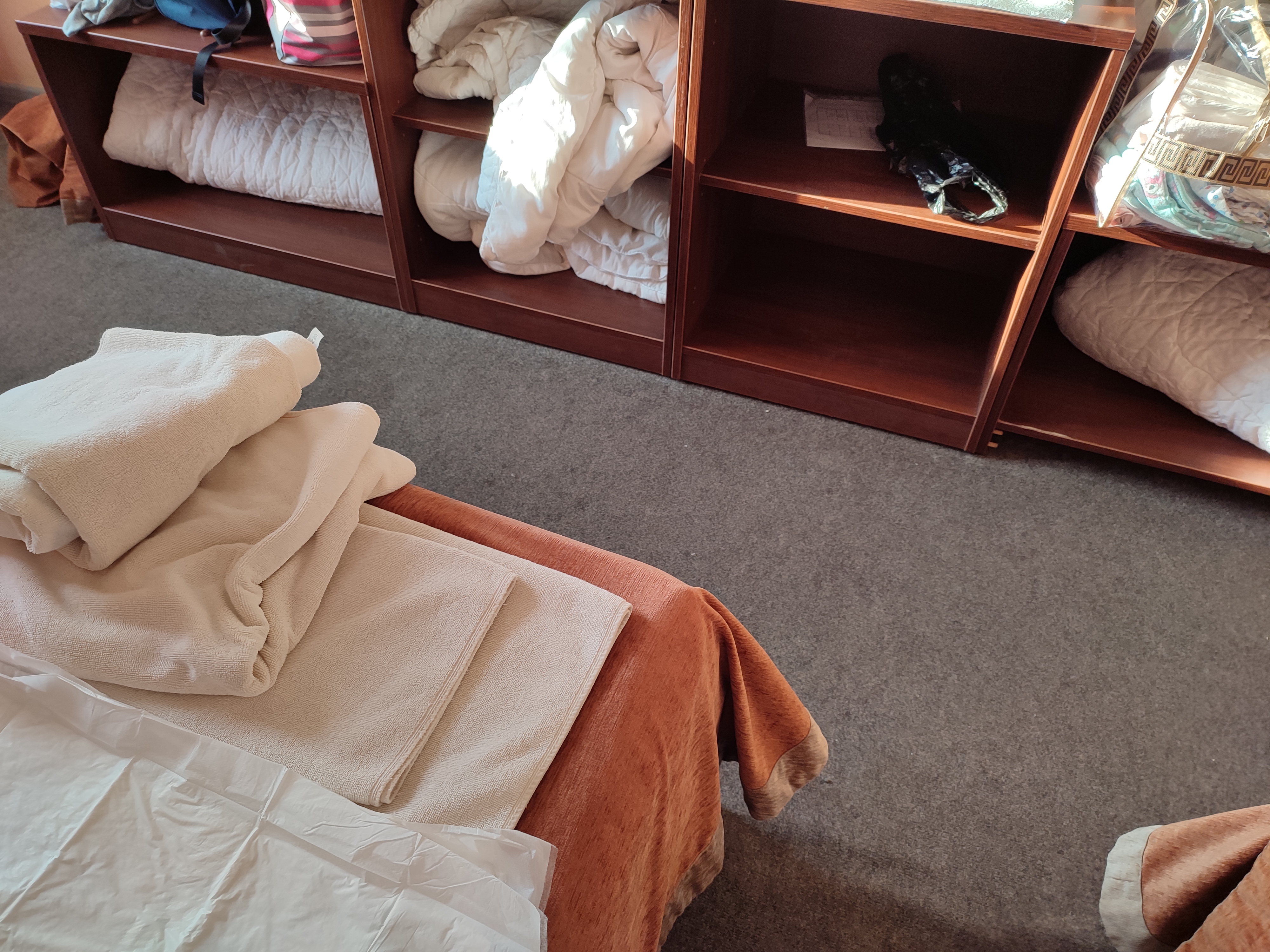 Фото Роза Ветров