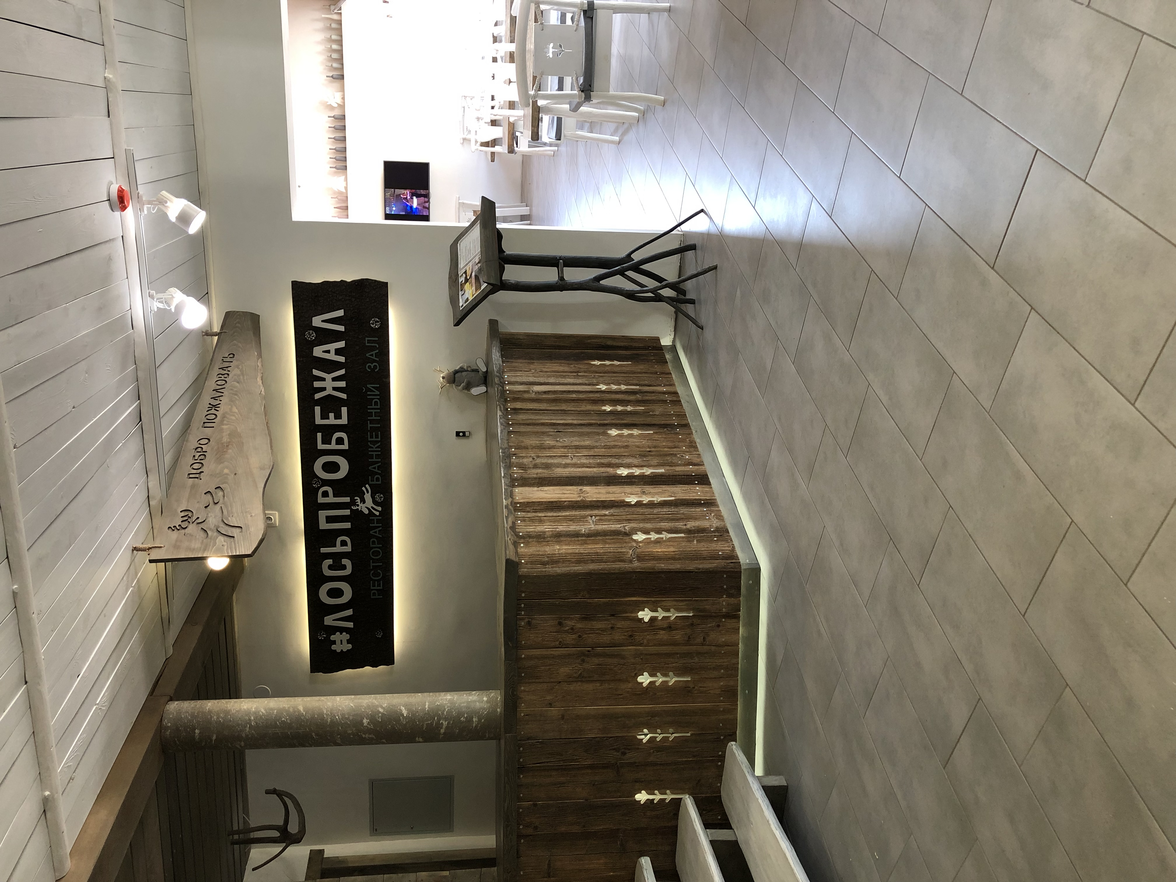 Фото Лосьпробежал