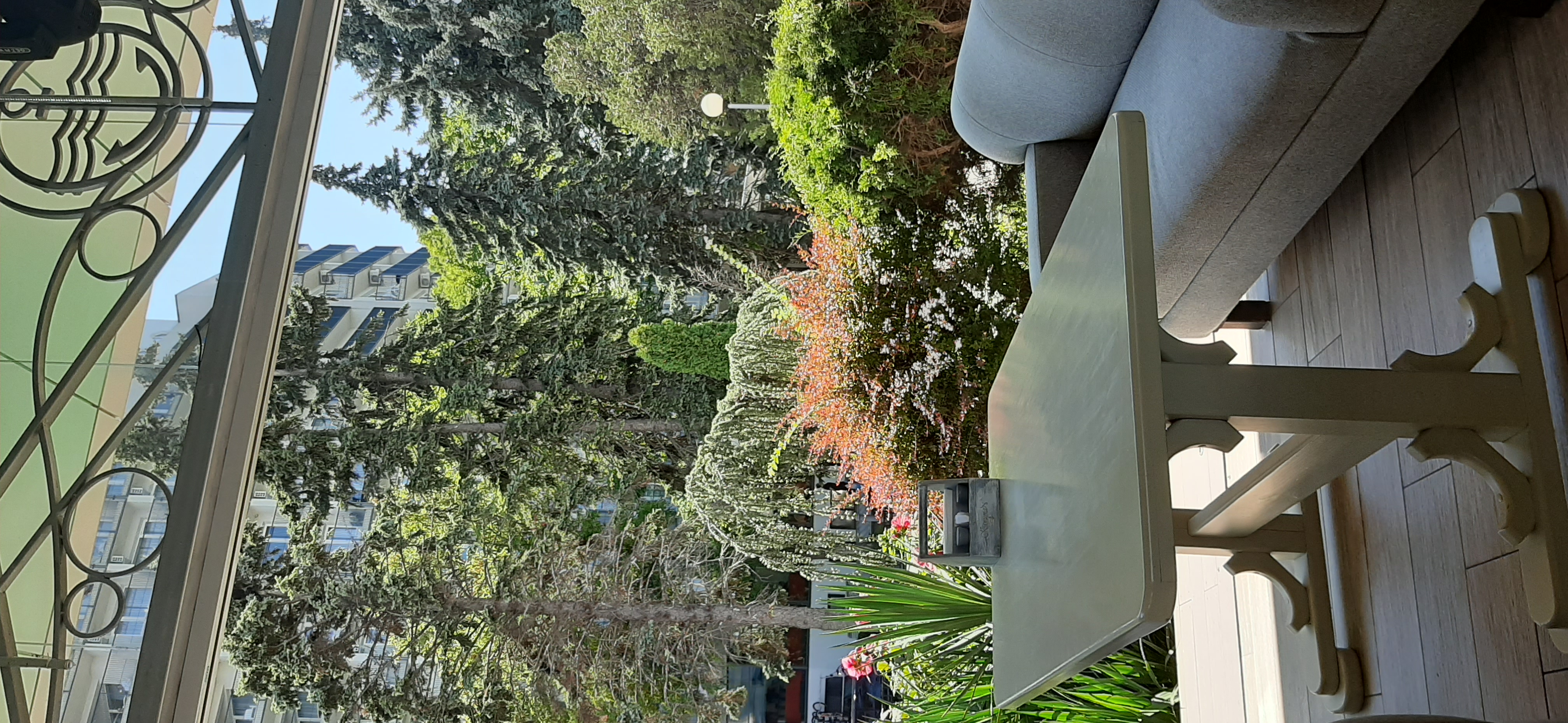 Фото Капитан