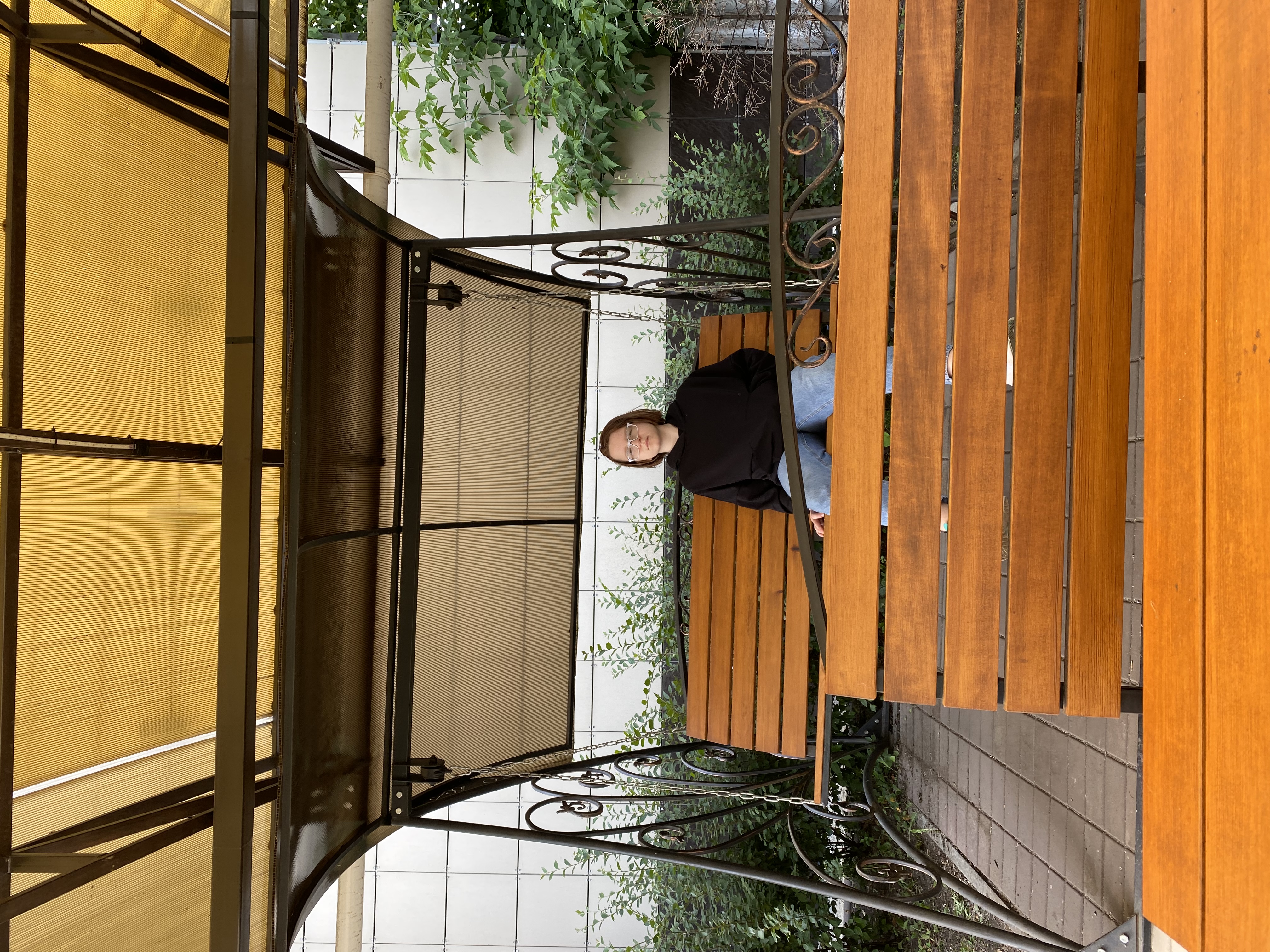 Фото Аристократ