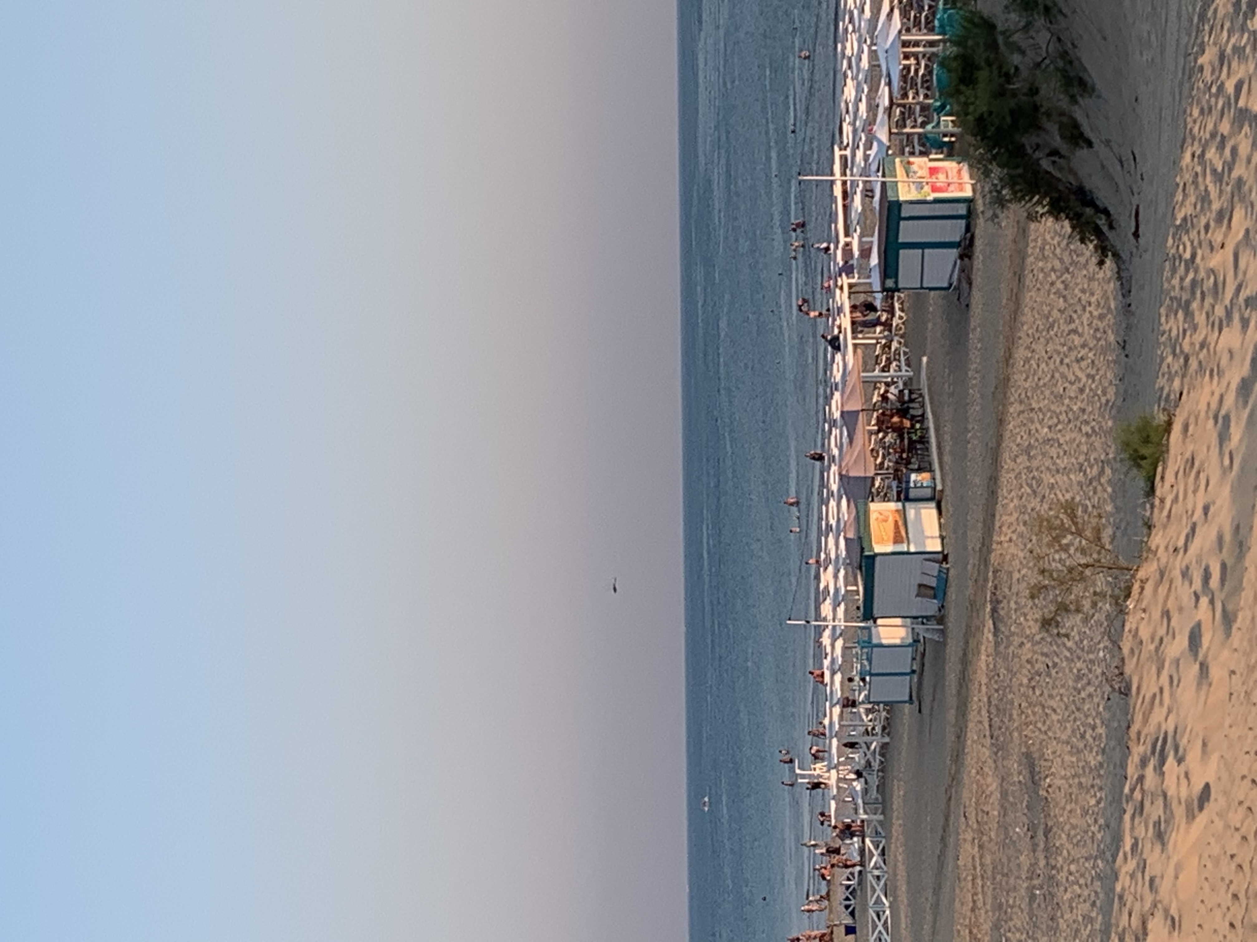 Фото Дэлани