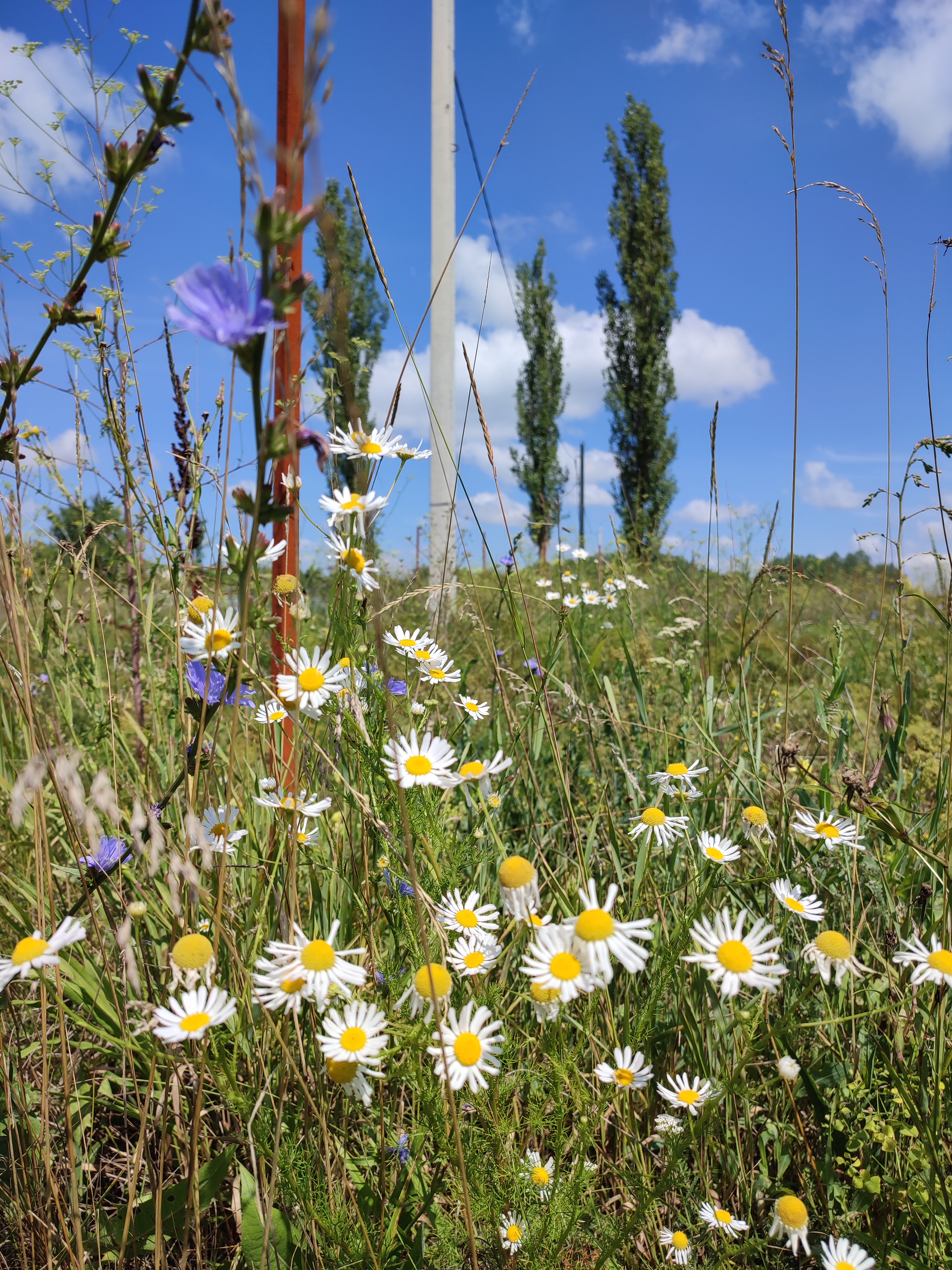 Фото Волшебница