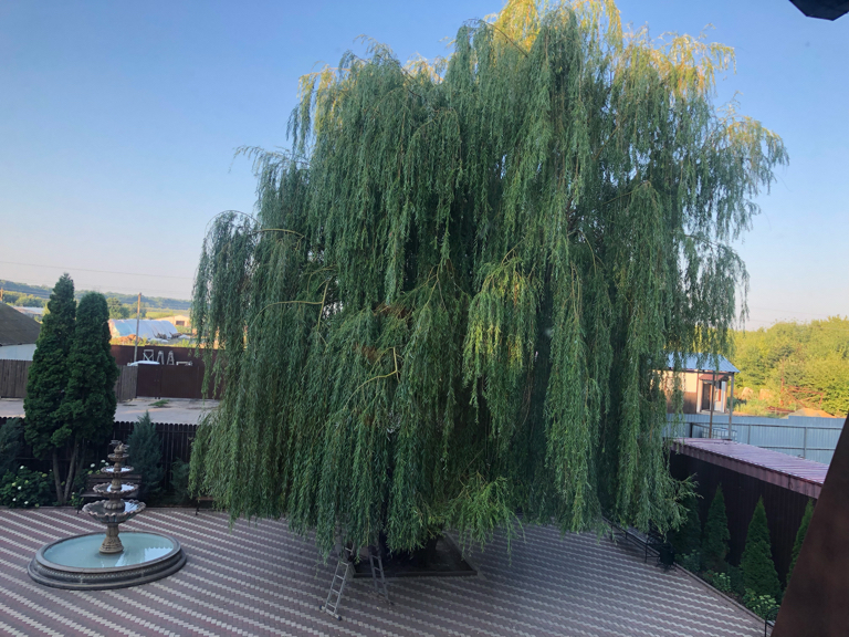 Фото Провинция