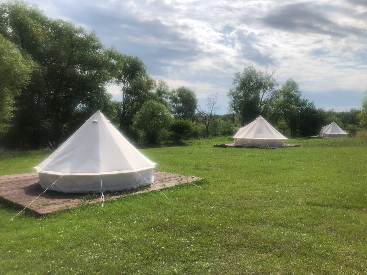 Фото Familyglamp Куликово поле