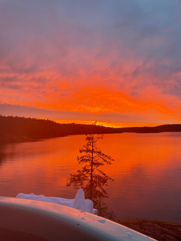 Фото Смородина