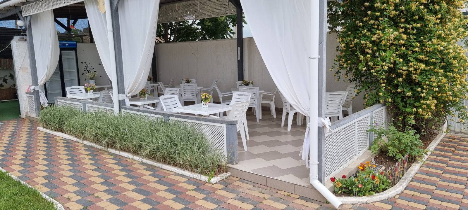 Фото Песчанка