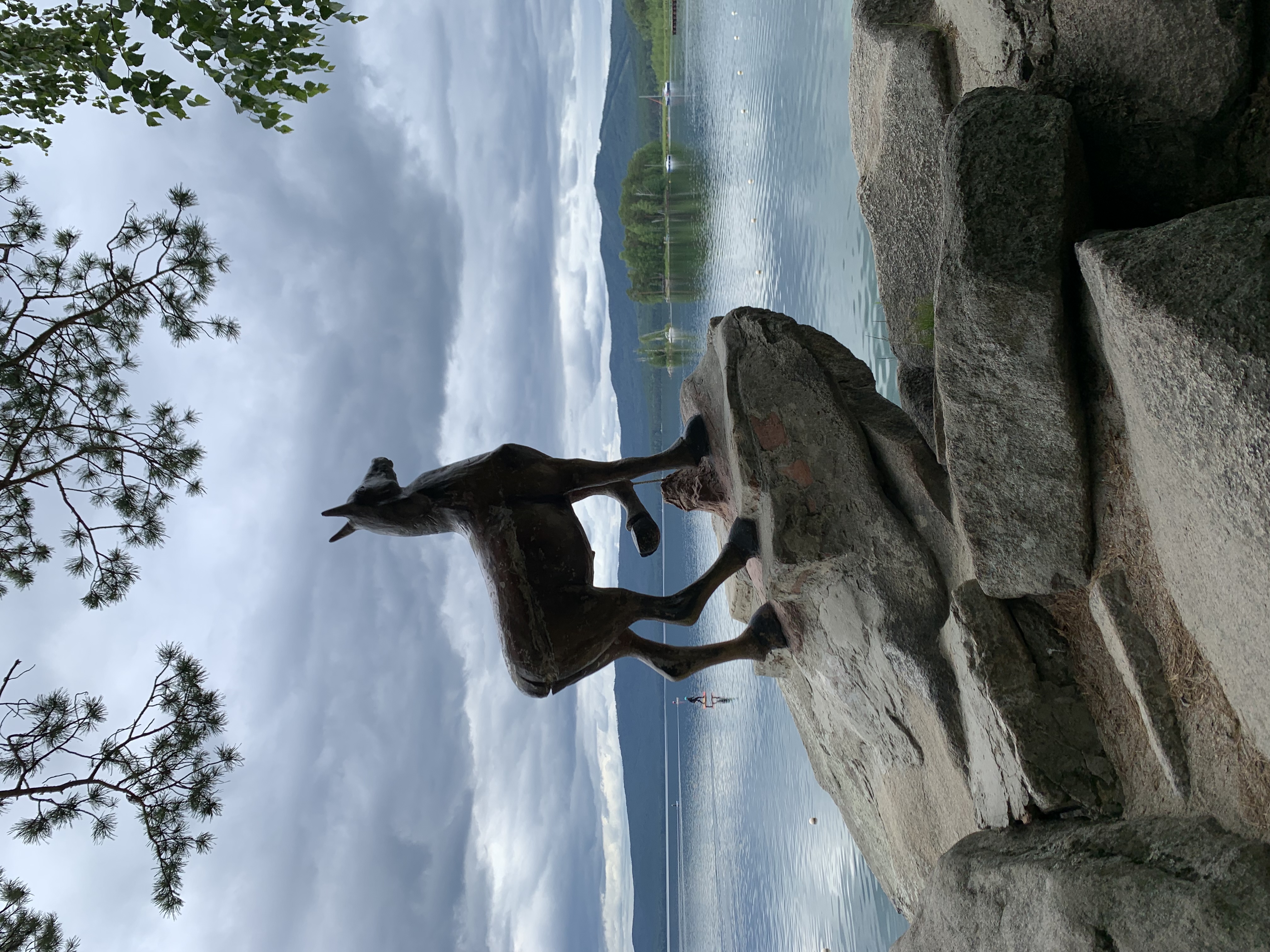 Фото Тургояк-Сити