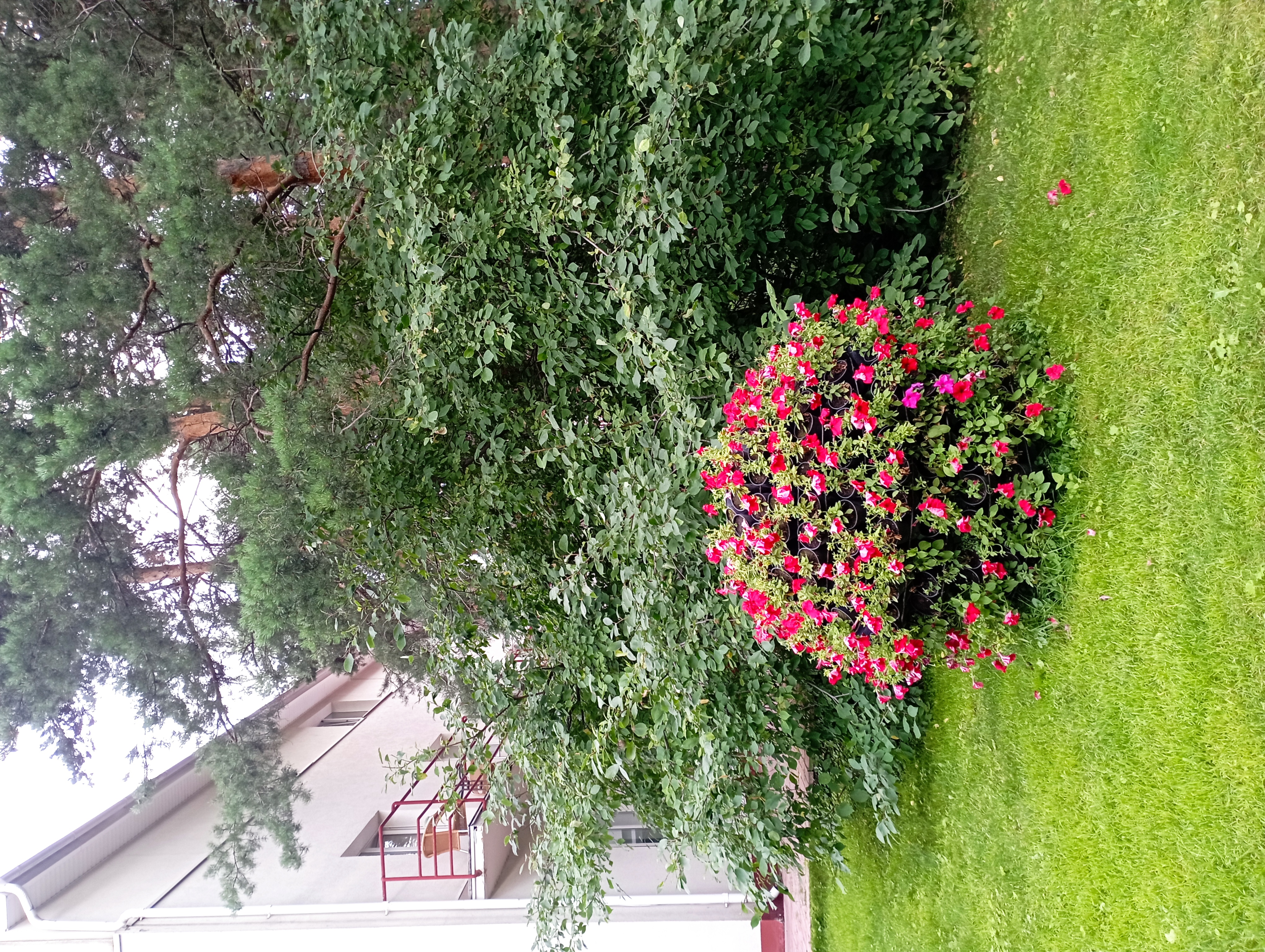 Фото Еловое