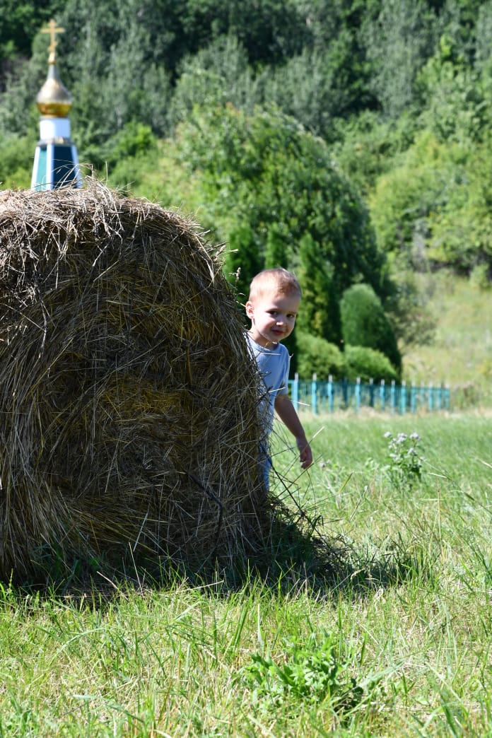 Фото Familyglamp Куликово поле