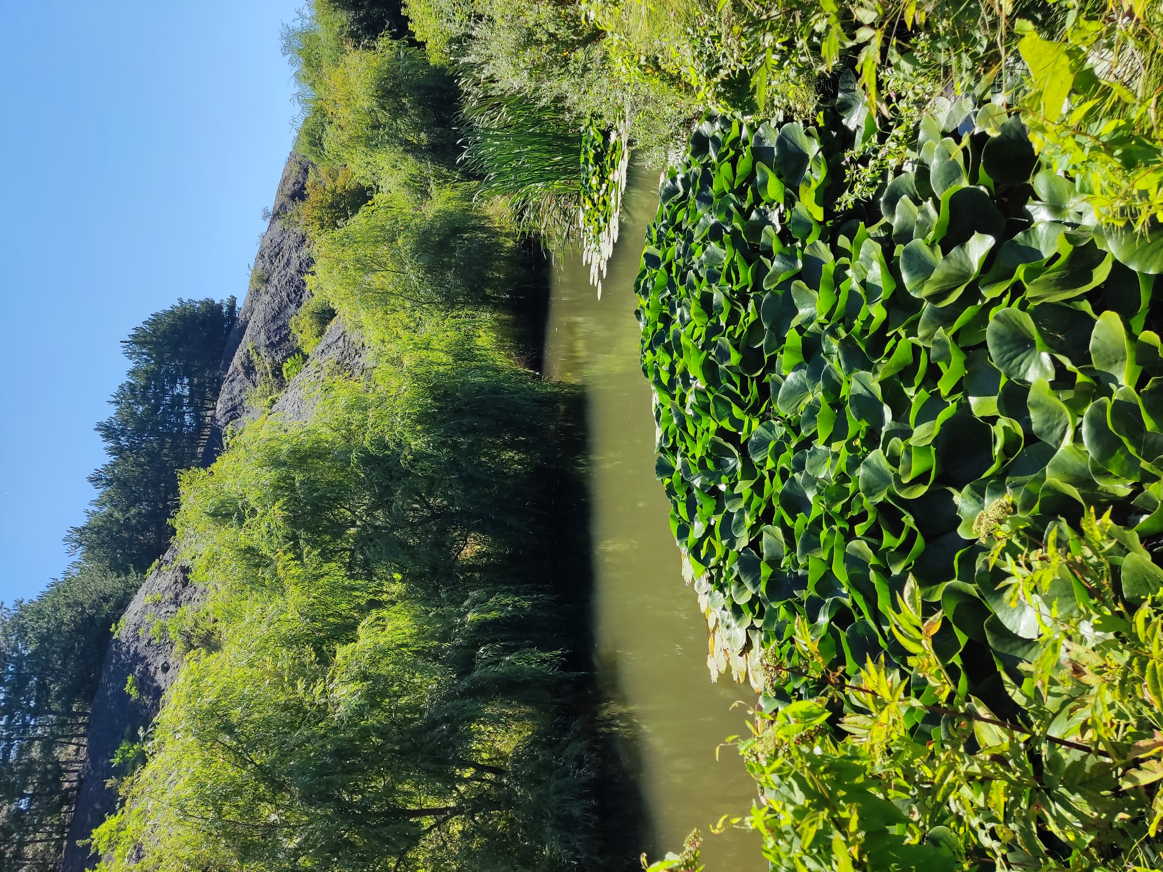 Фото Крым коттедж