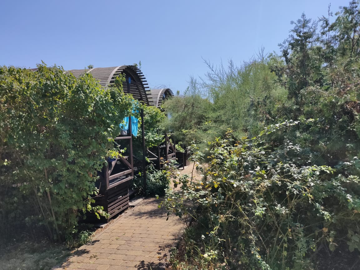 Фото Берег мечты