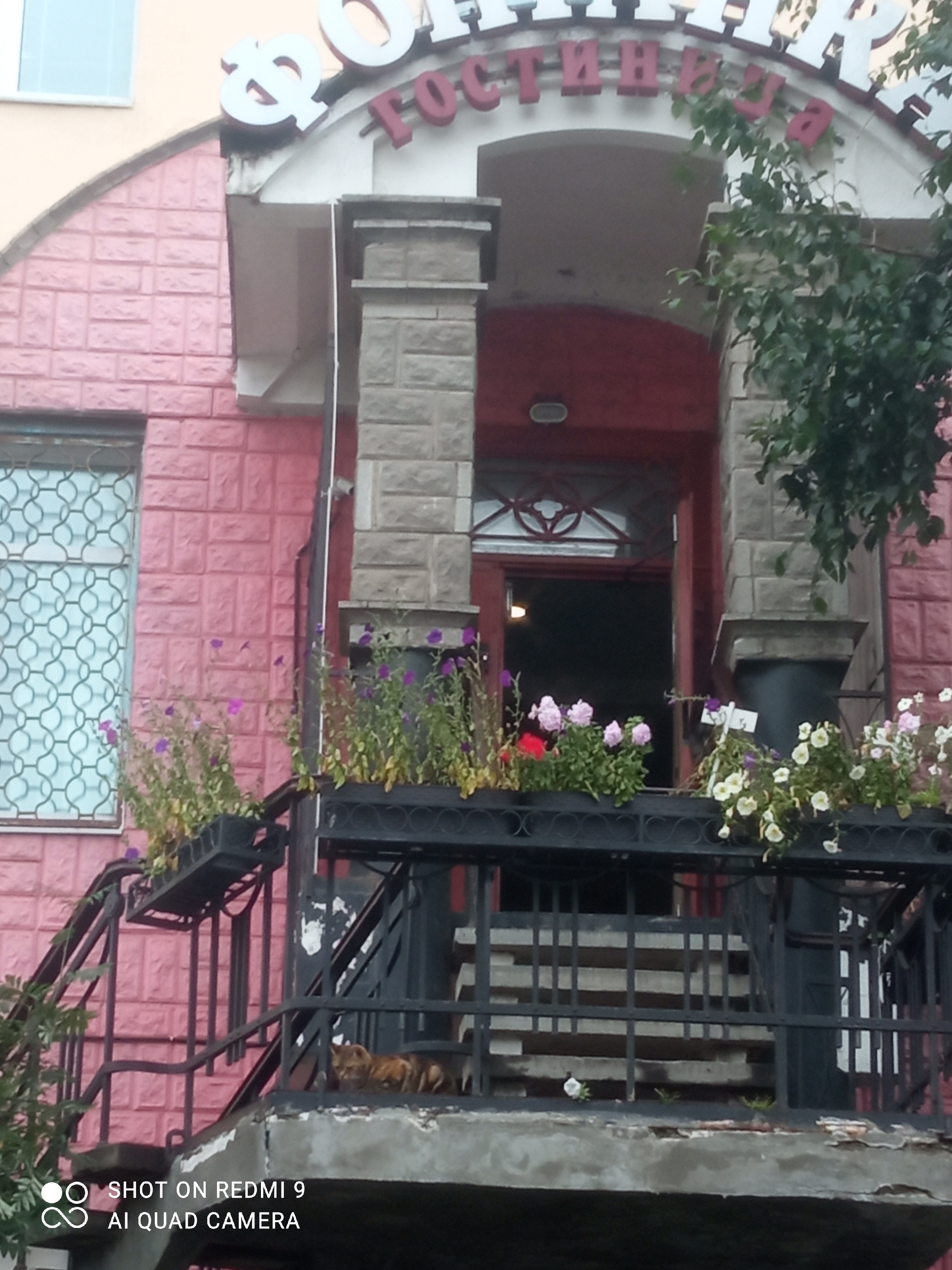 Фото Фонтанка