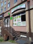 Арфарм (Kaliningrad, Aleksandra Suvorova Street, 40), pharmacy
