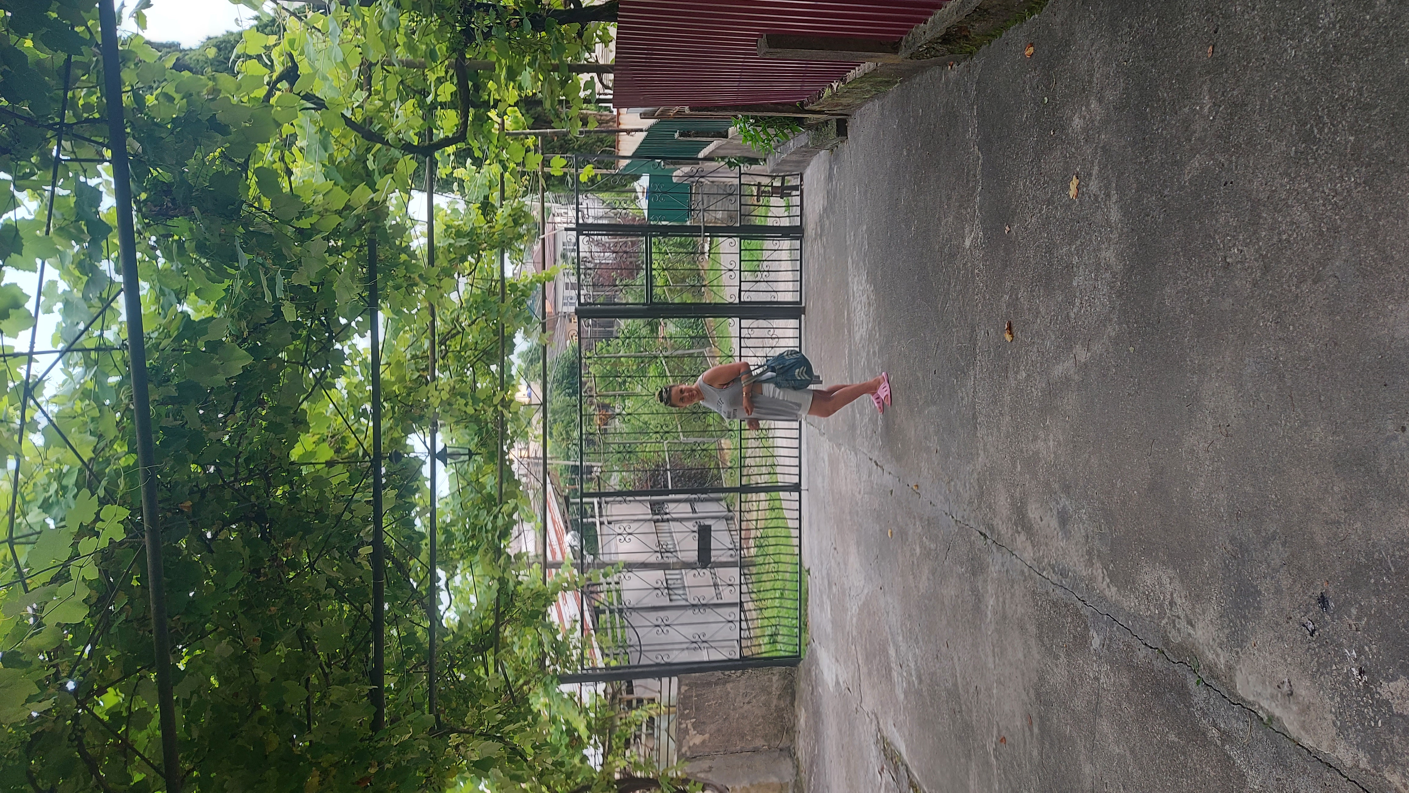 Фото Мандариновый Сад