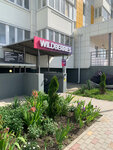 Wildberries (ulitsa Admirala Pustoshkina, 22к2), point of delivery