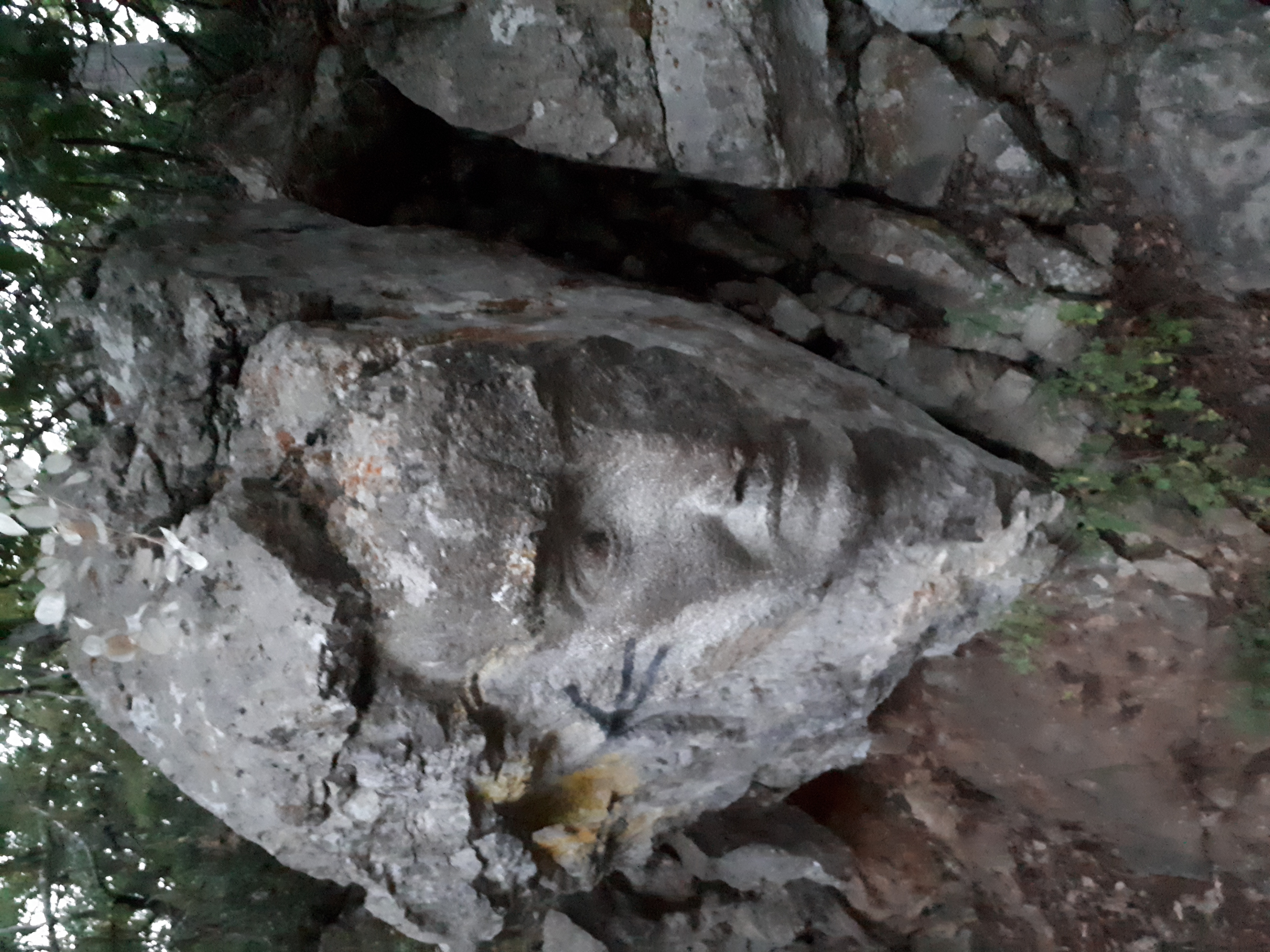 Фото Горный