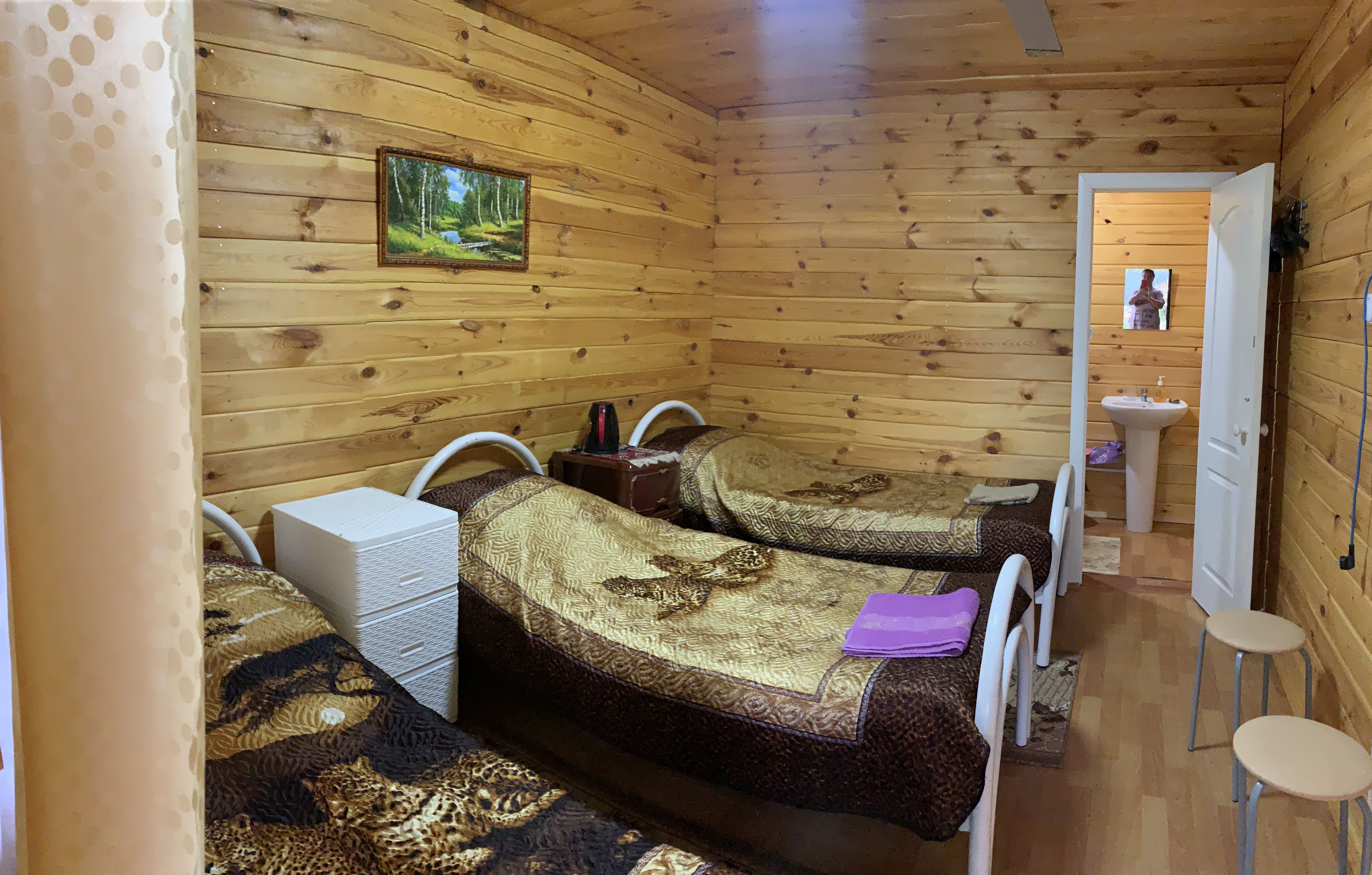 Фото Стрижели