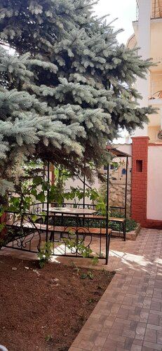 Вилла Фламинго в Береговом
