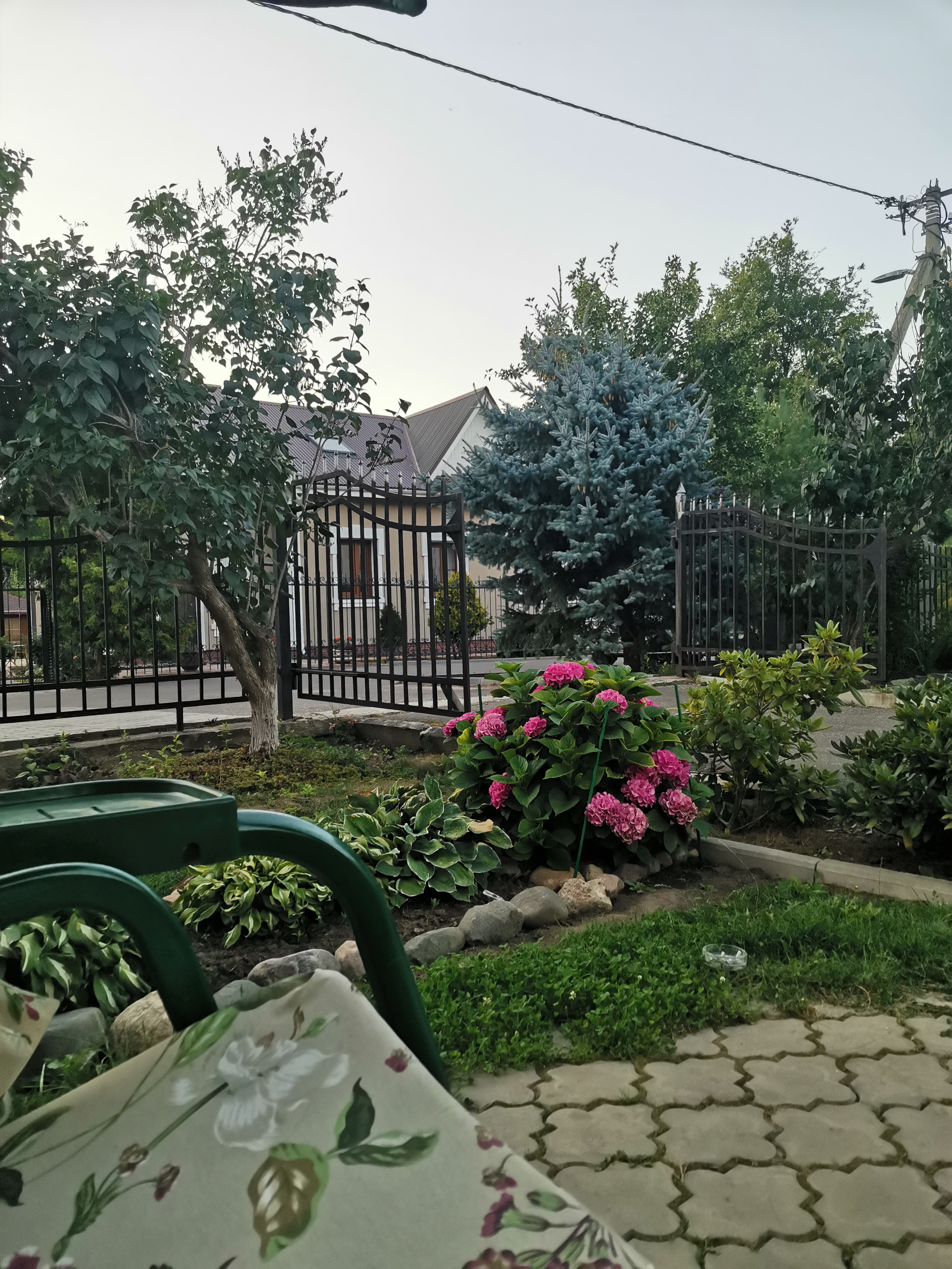 Фото Волшебный сад