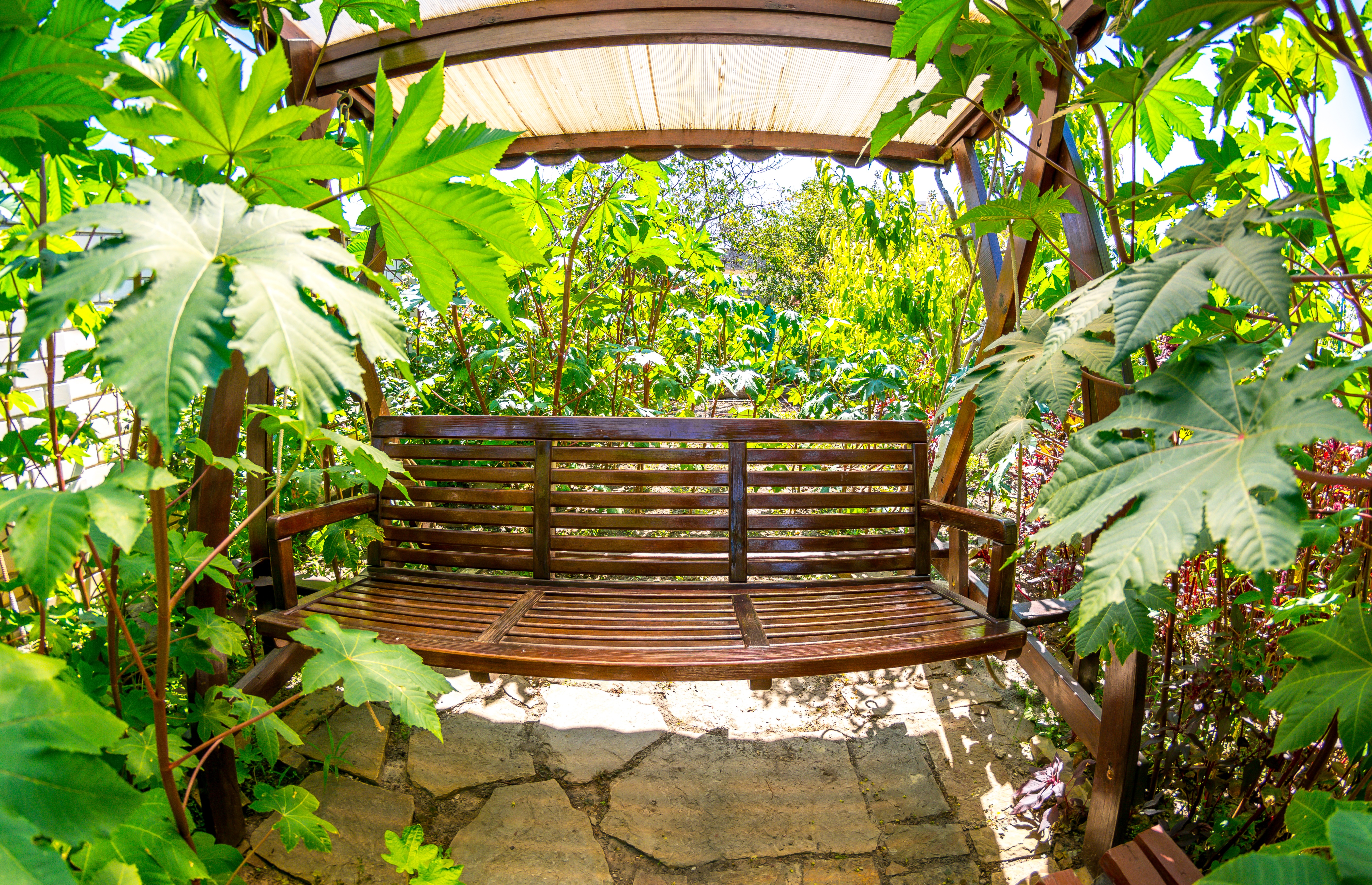 Фото Солнечная Долина