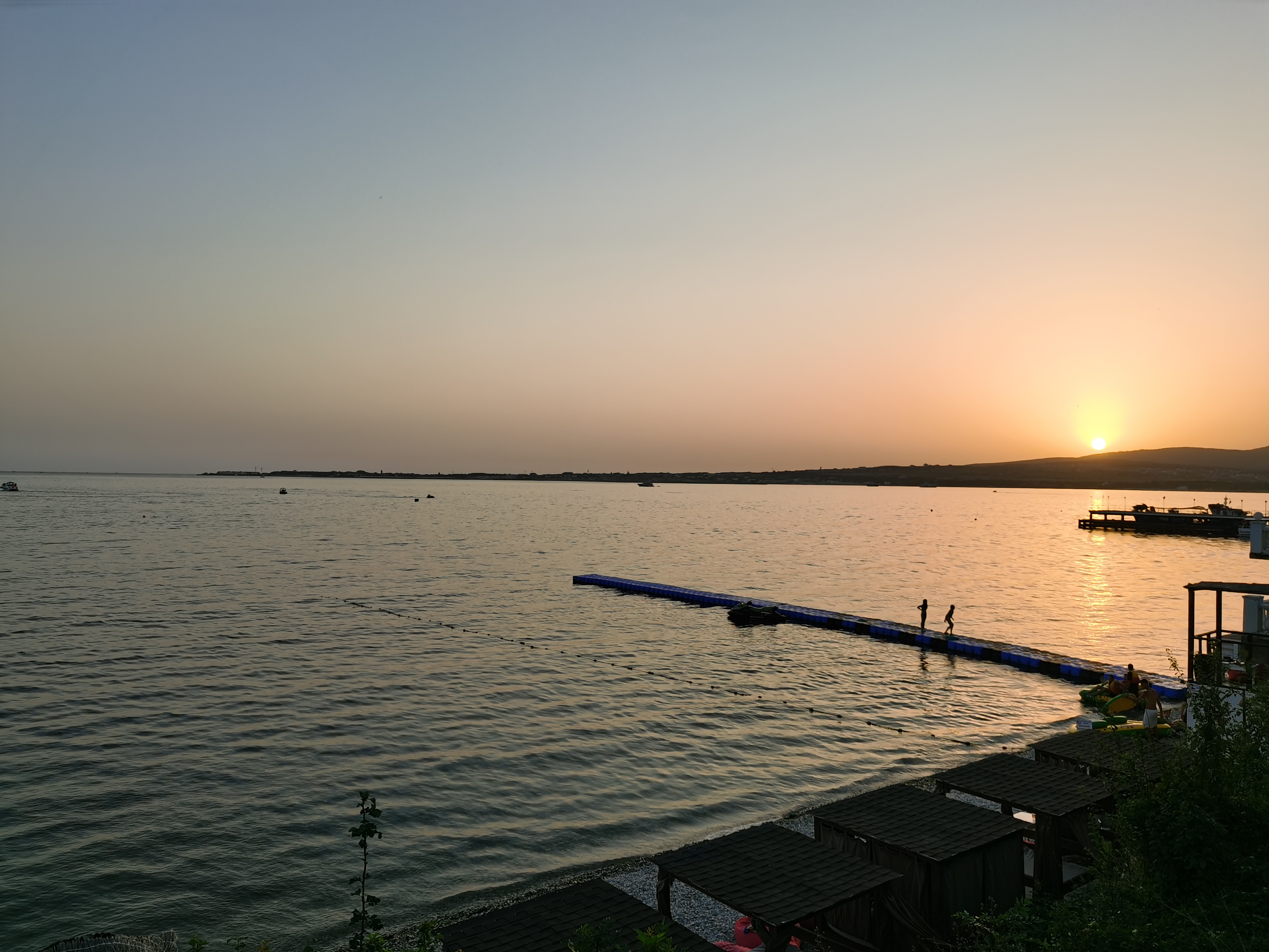 Фото Магнолия